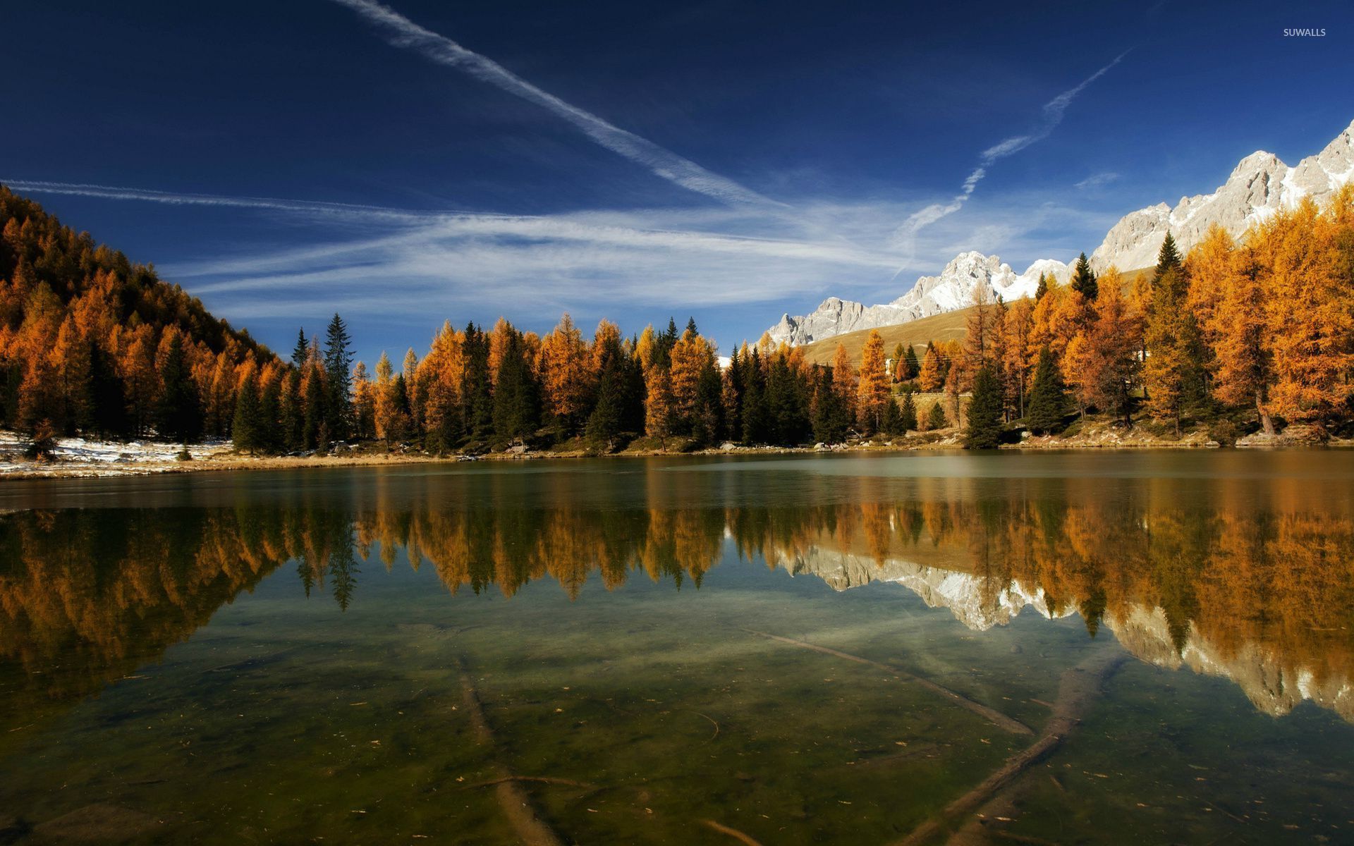 Tree Reflection In Lake Wallpapers