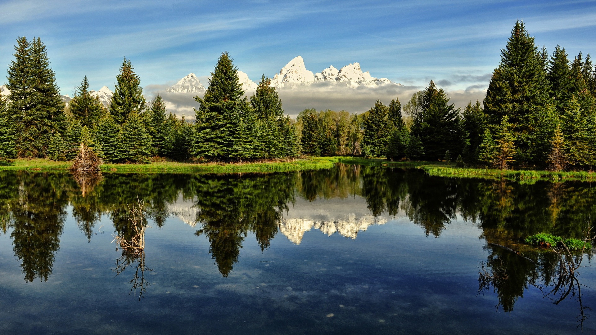 Tree Reflection In Lake Wallpapers