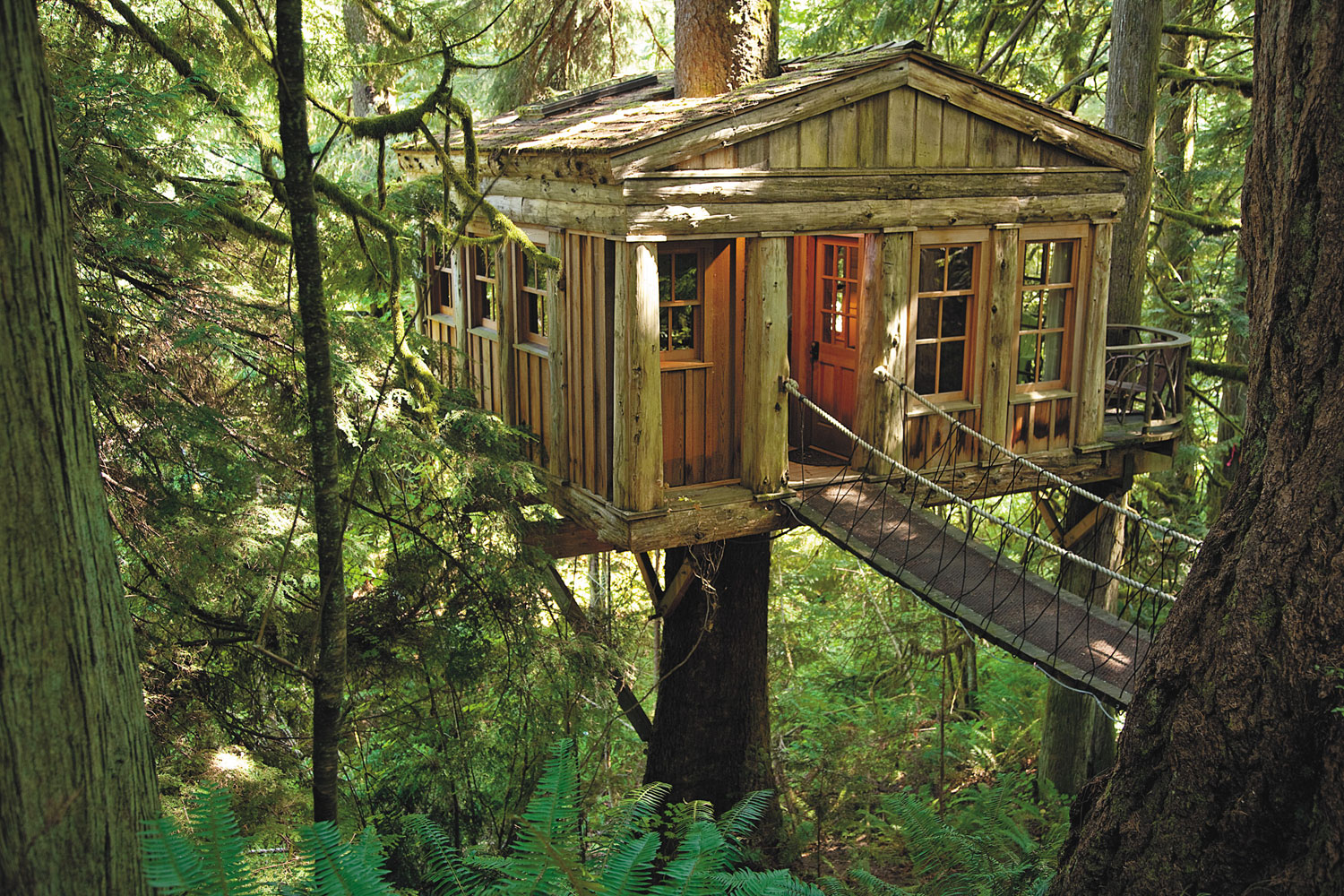 Treehouse Masters Wallpapers