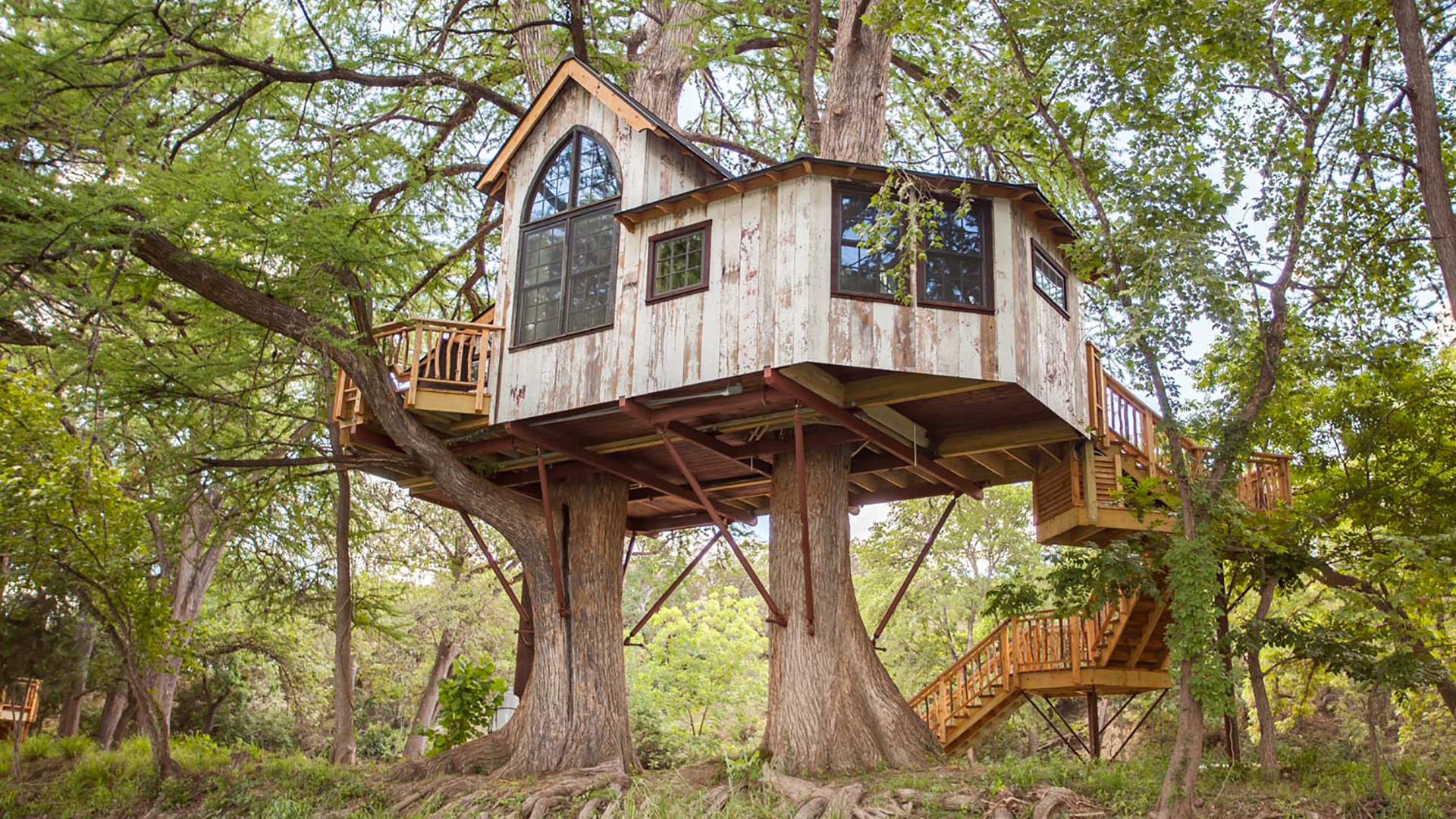 Treehouse Masters Wallpapers