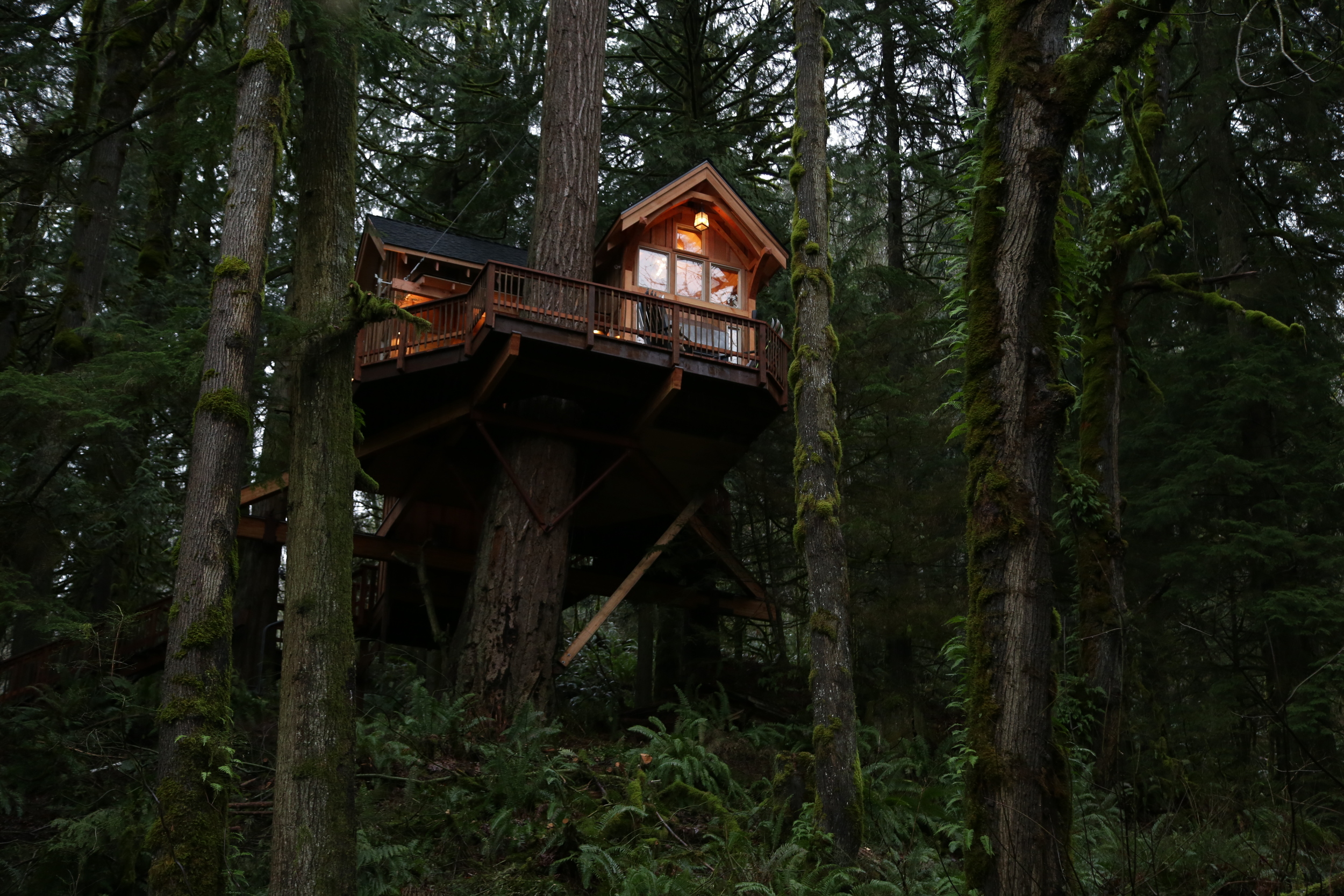 Treehouse Masters Wallpapers