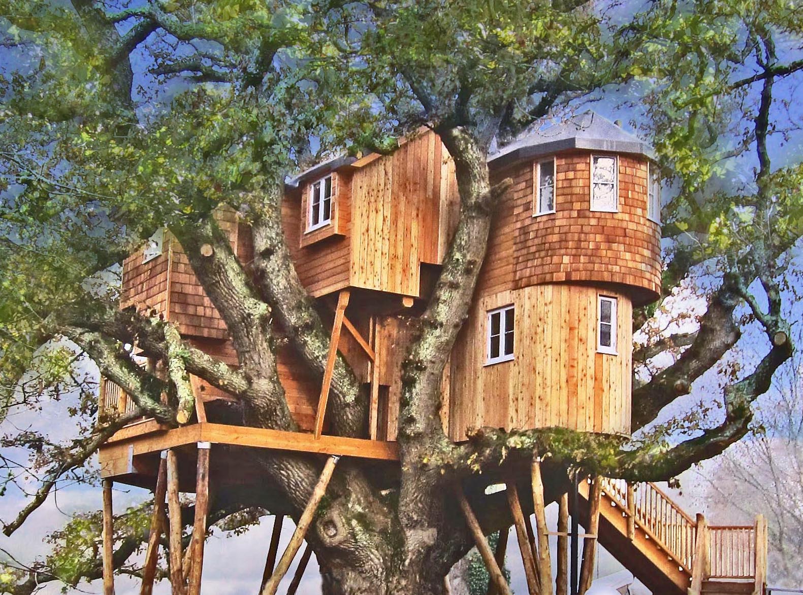 Treehouse Masters Wallpapers