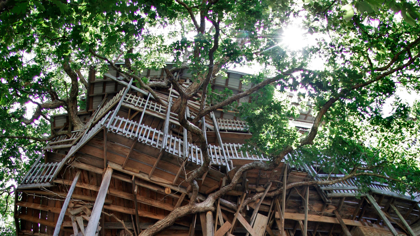 Treehouse Masters Wallpapers