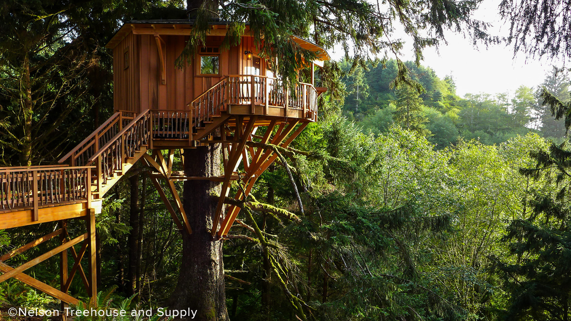 Treehouse Masters Wallpapers