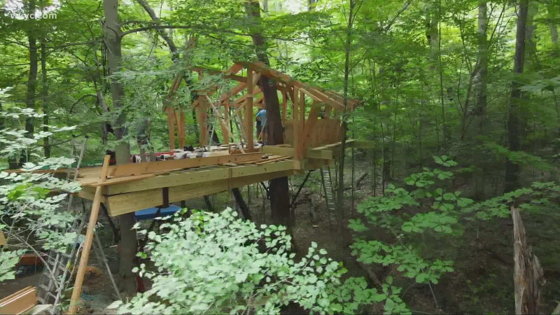 Treehouse Masters Wallpapers