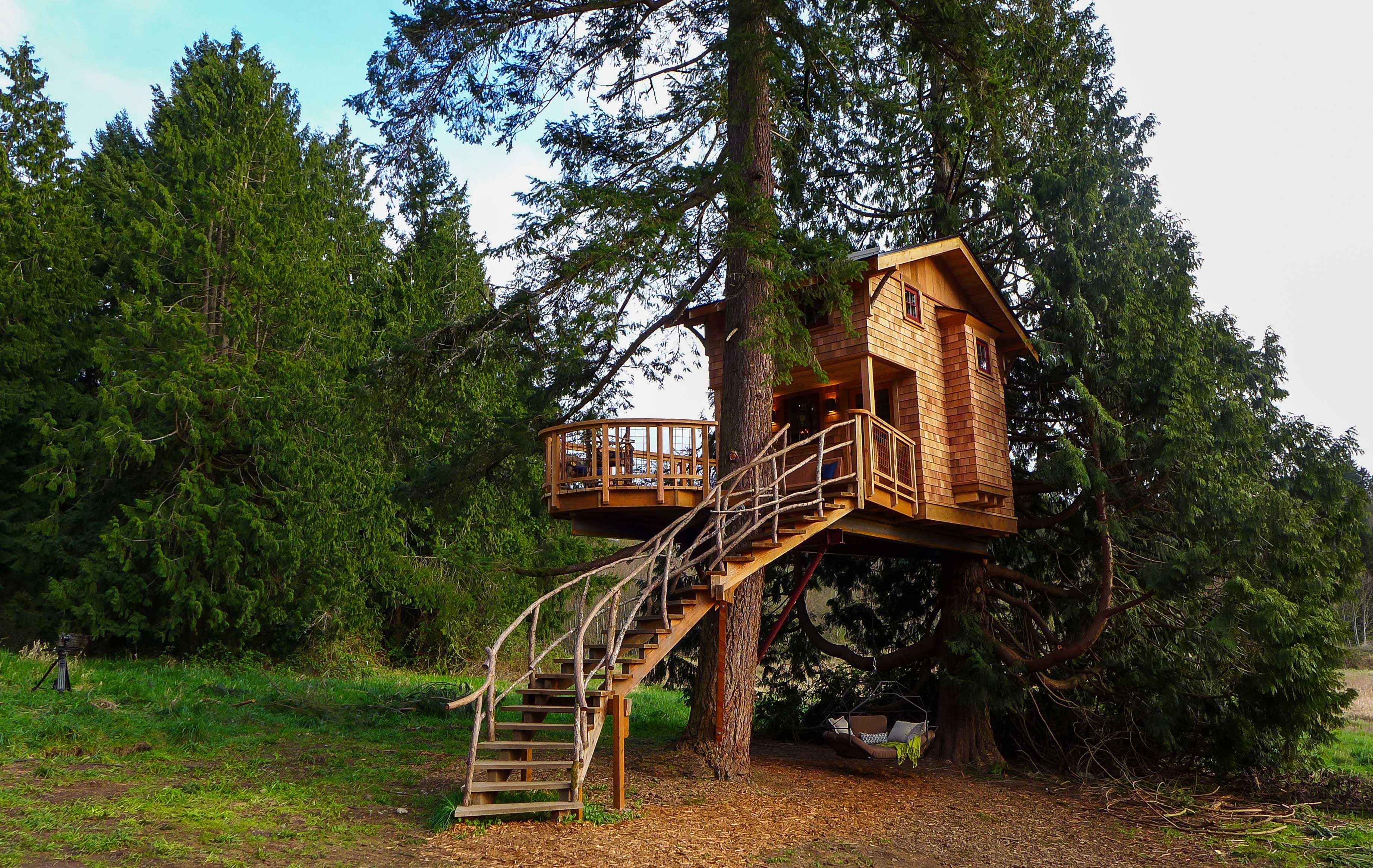 Treehouse Masters Wallpapers