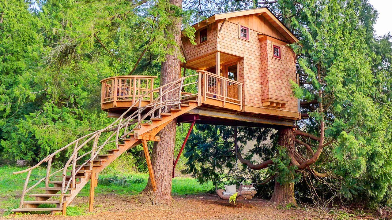 Treehouse Masters Wallpapers