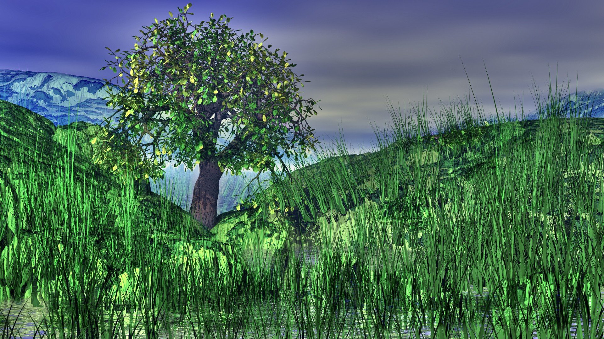 Trees And Grass Digital Art Wallpapers