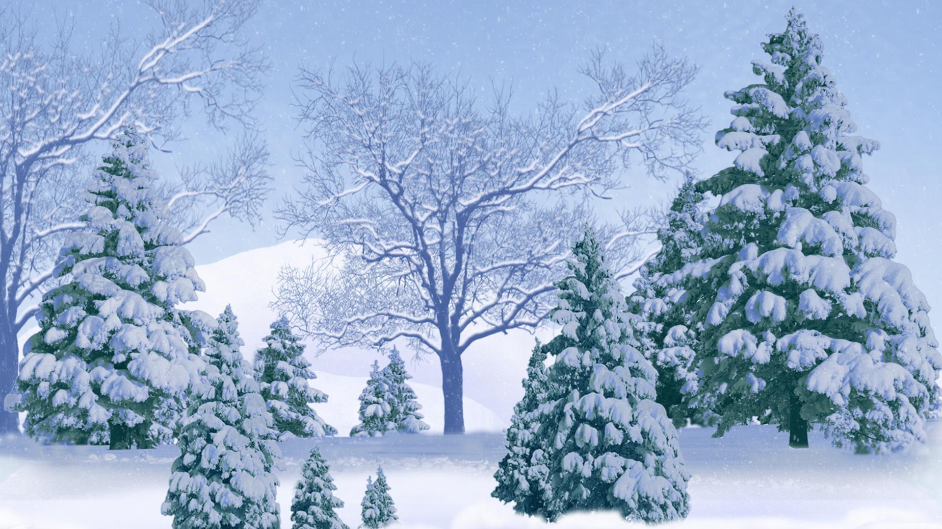 Trees Covered By Snow In Winter Wallpapers