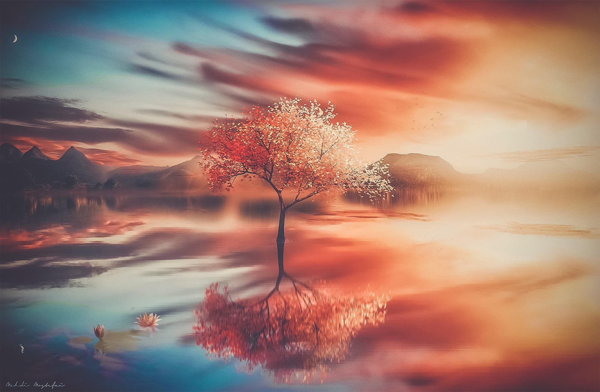 Trees Fantasy Art Wallpapers