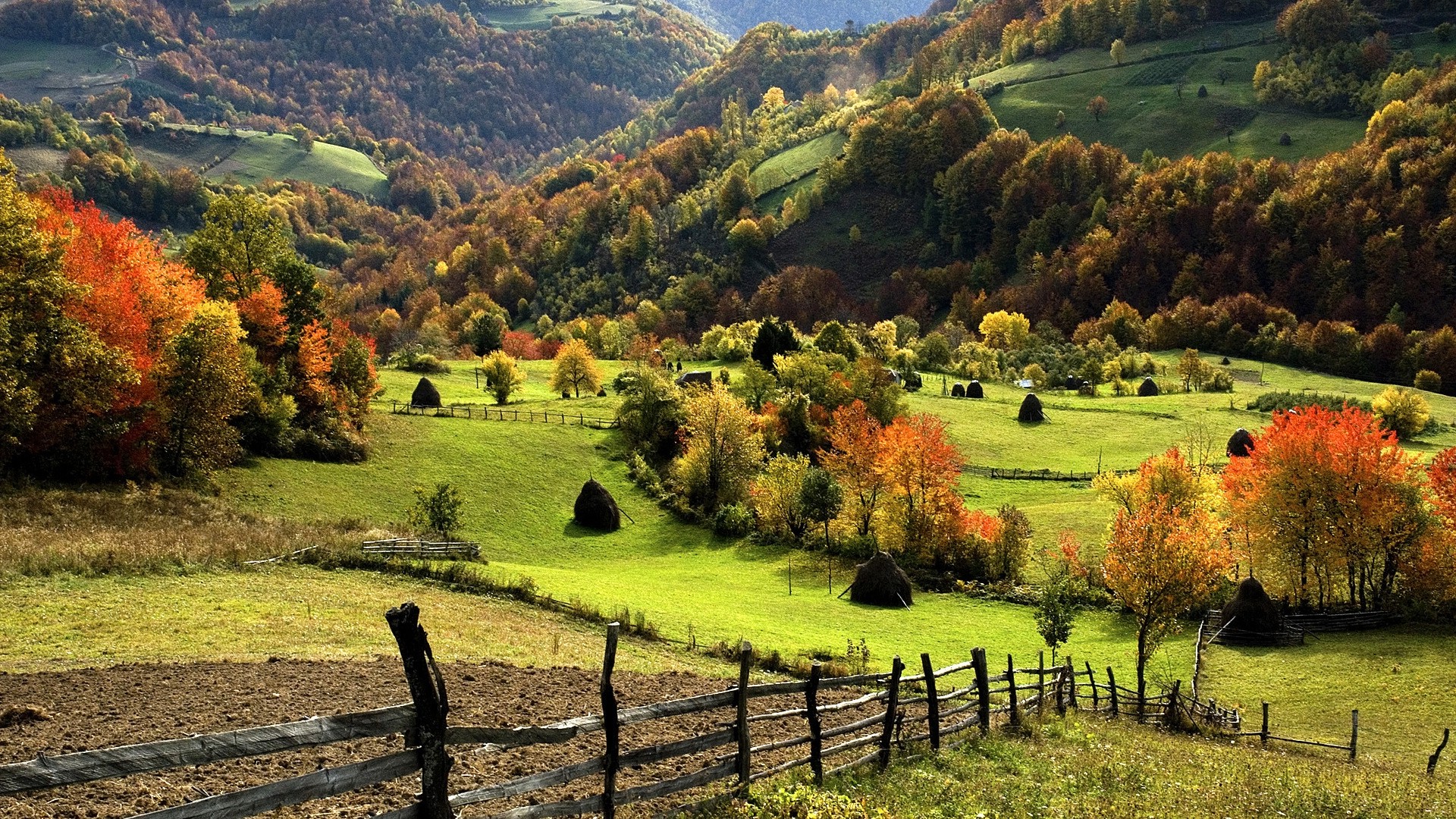 Trees Grass In Fall Bleak Mountains Wallpapers