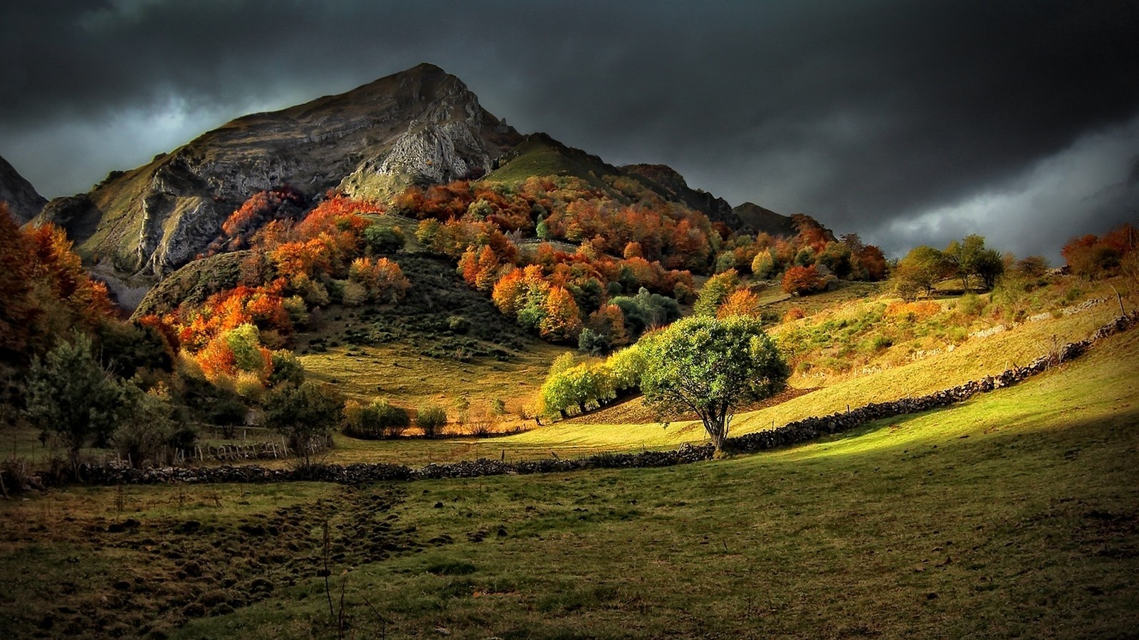 Trees Grass In Fall Bleak Mountains Wallpapers