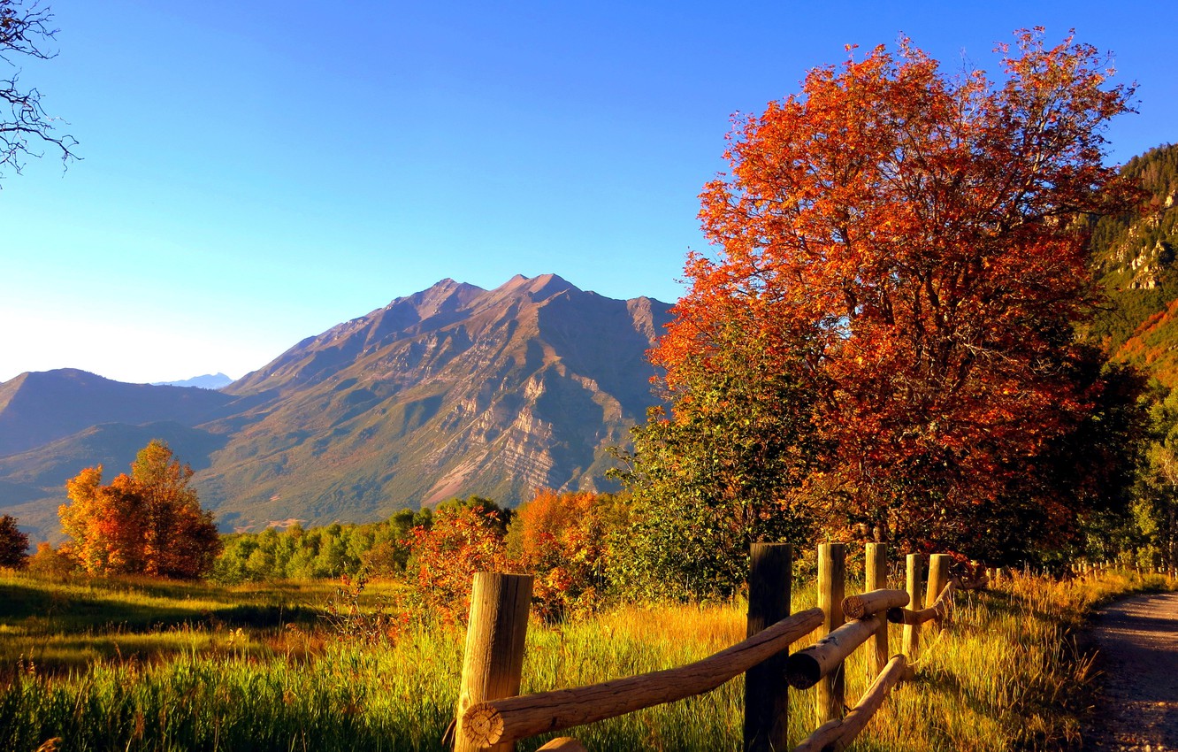 Trees Grass In Fall Bleak Mountains Wallpapers