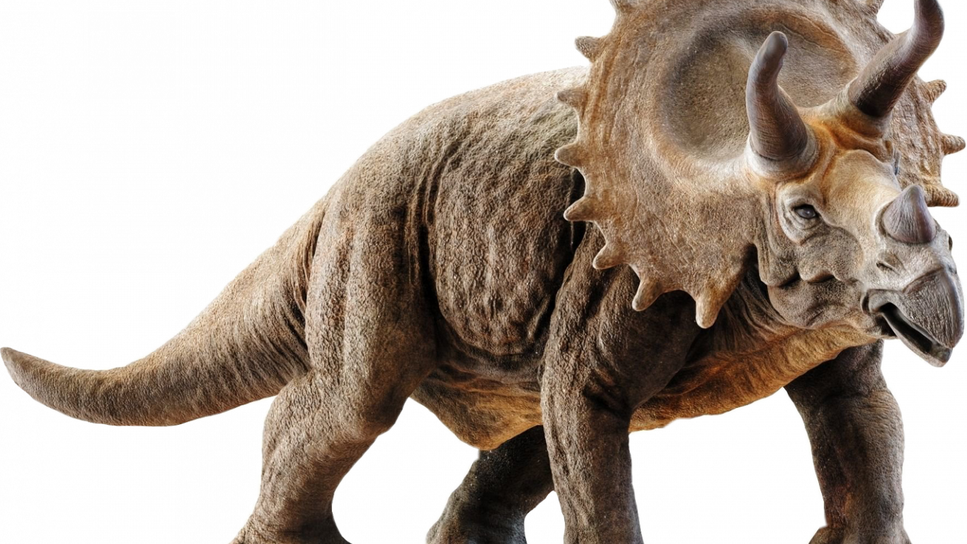 Triceratops Wallpapers