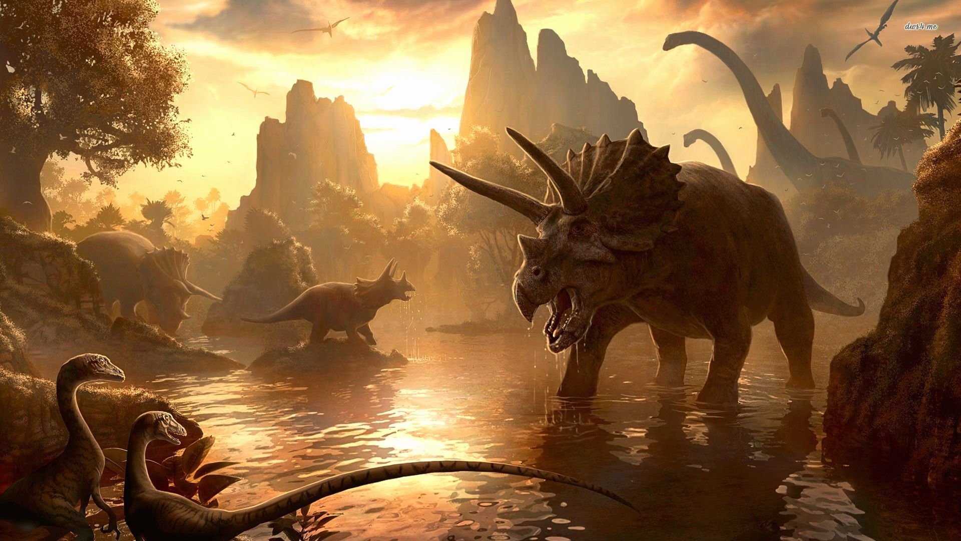 Triceratops Wallpapers