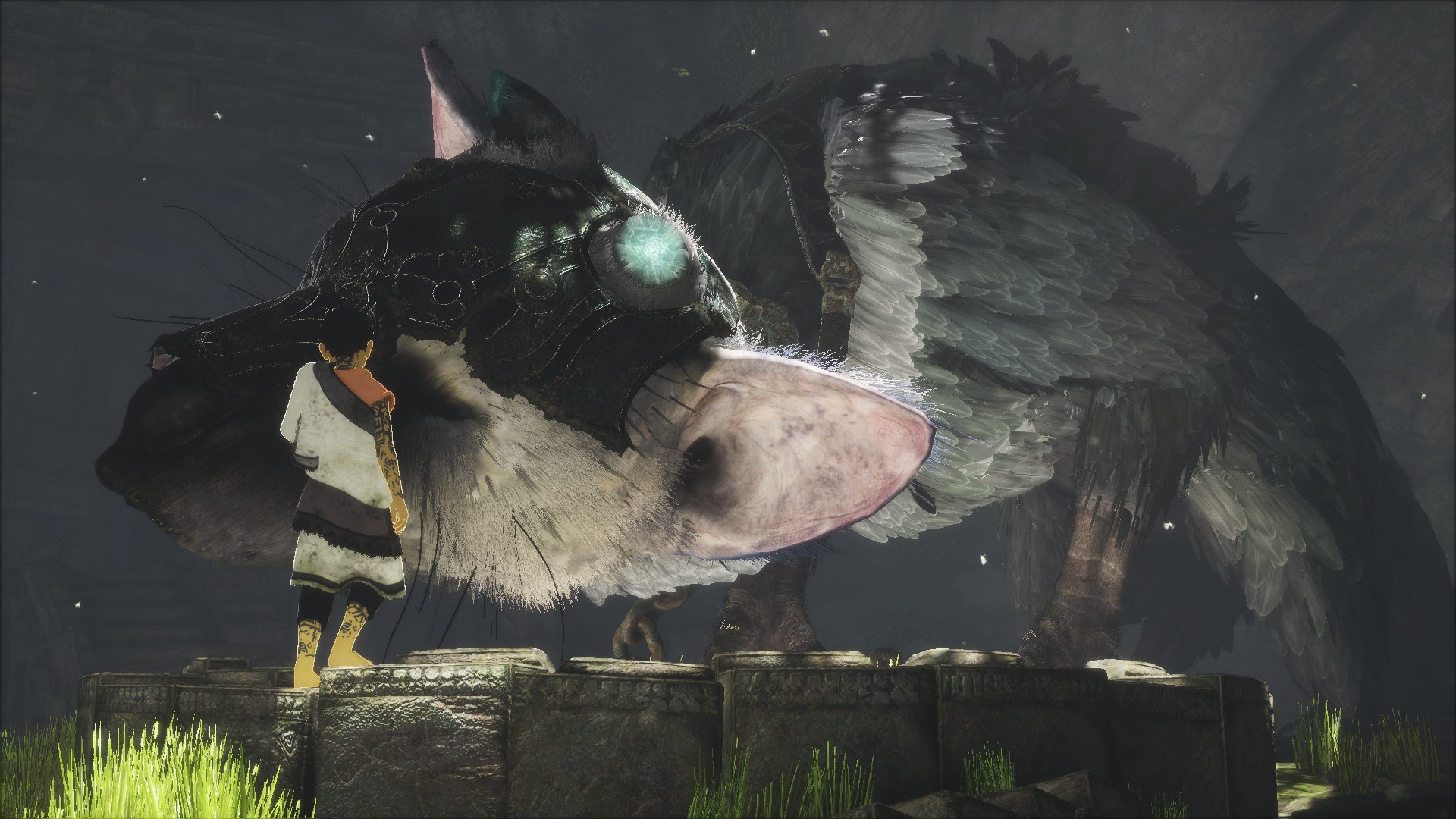 Trico The Last Guardian Wallpapers