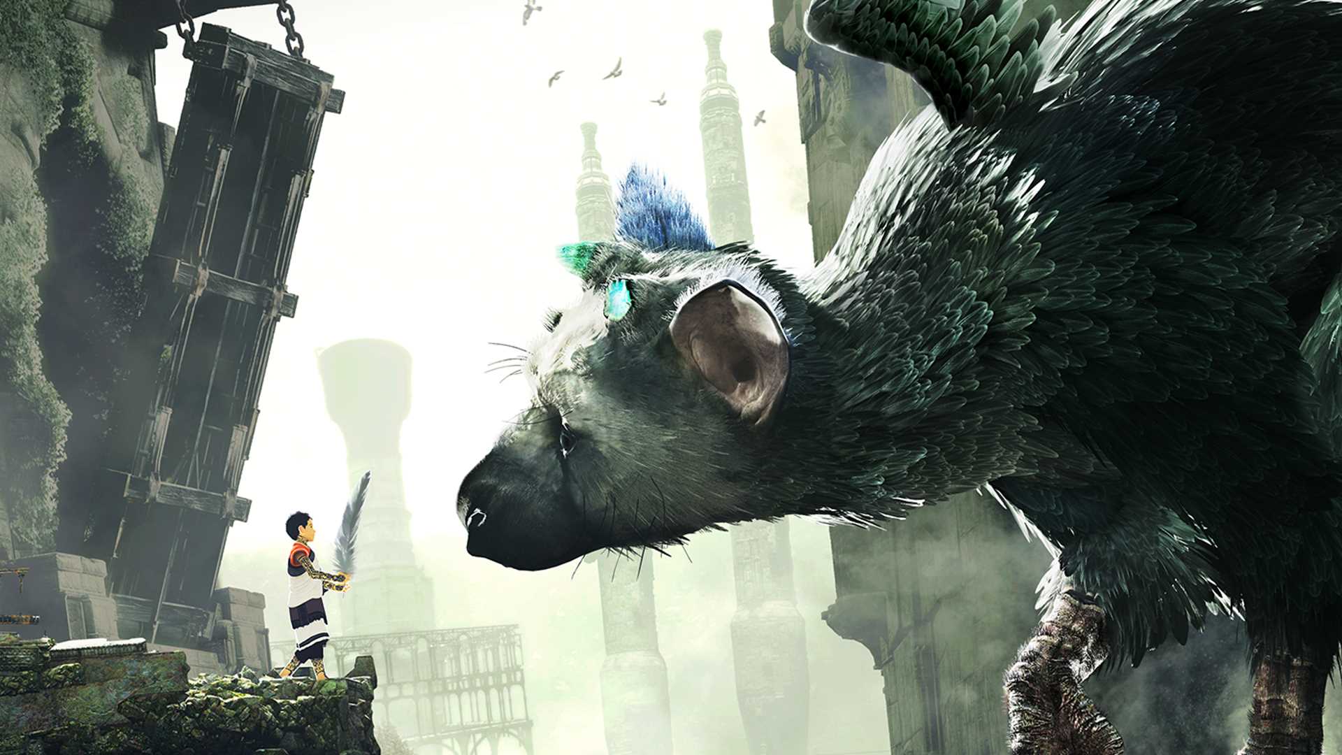 Trico The Last Guardian Wallpapers