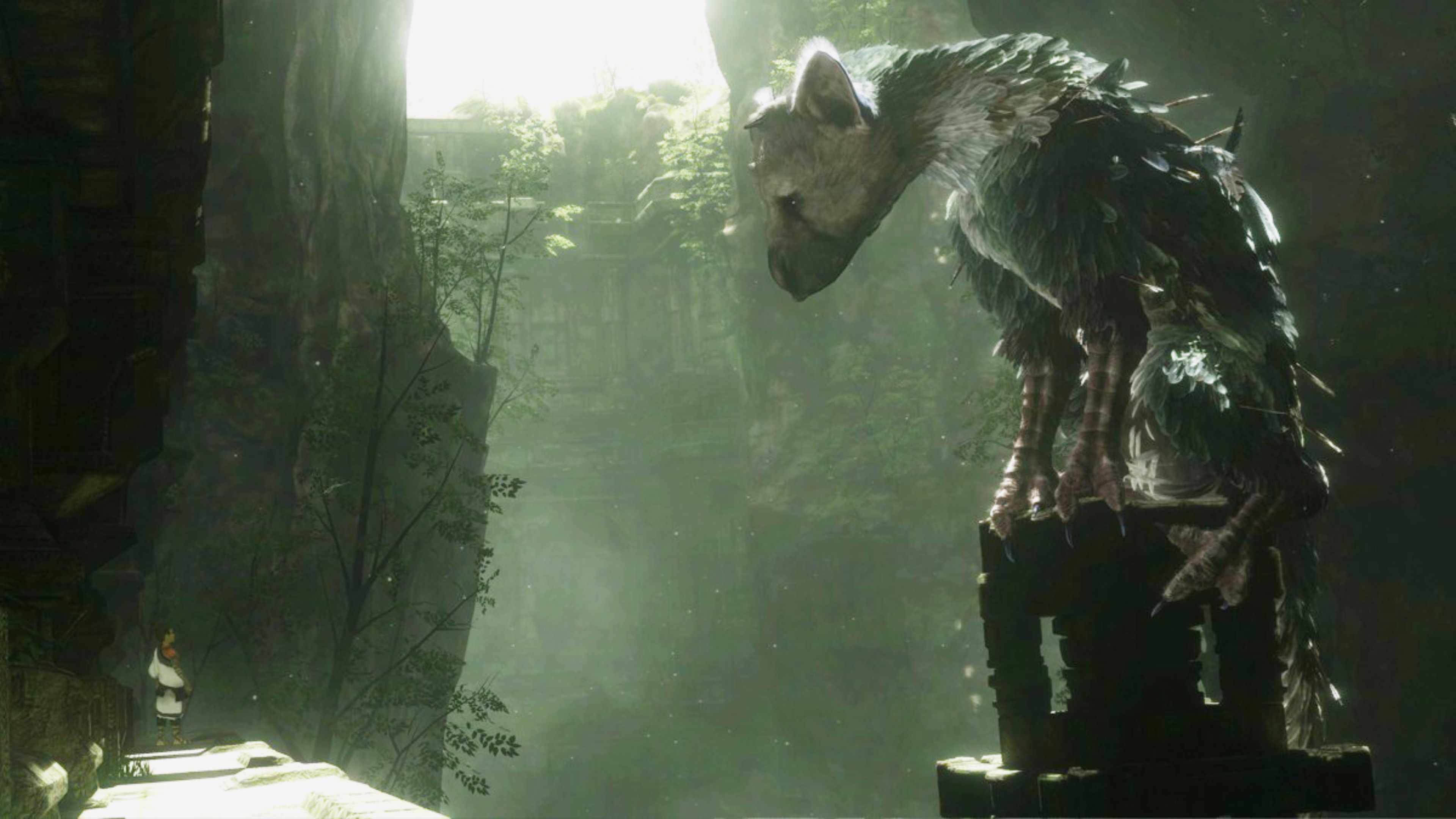 Trico The Last Guardian Wallpapers