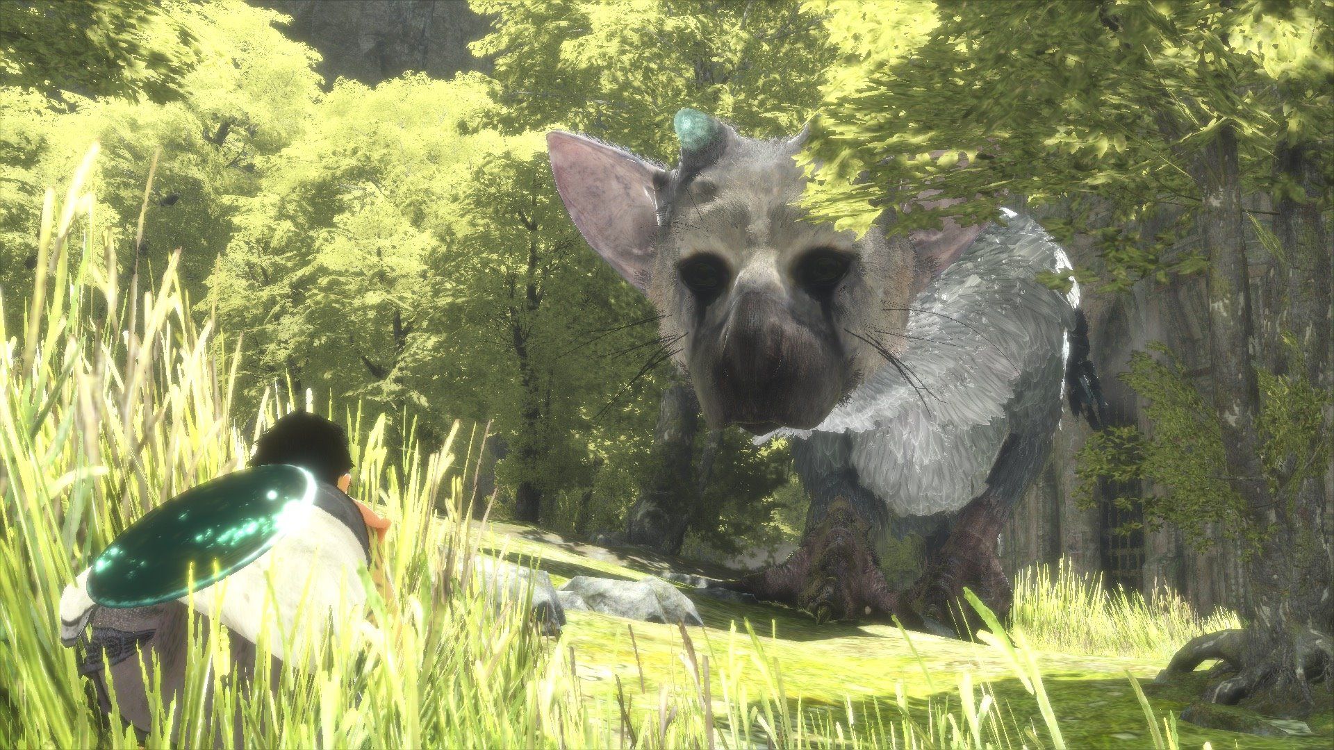 Trico The Last Guardian Wallpapers