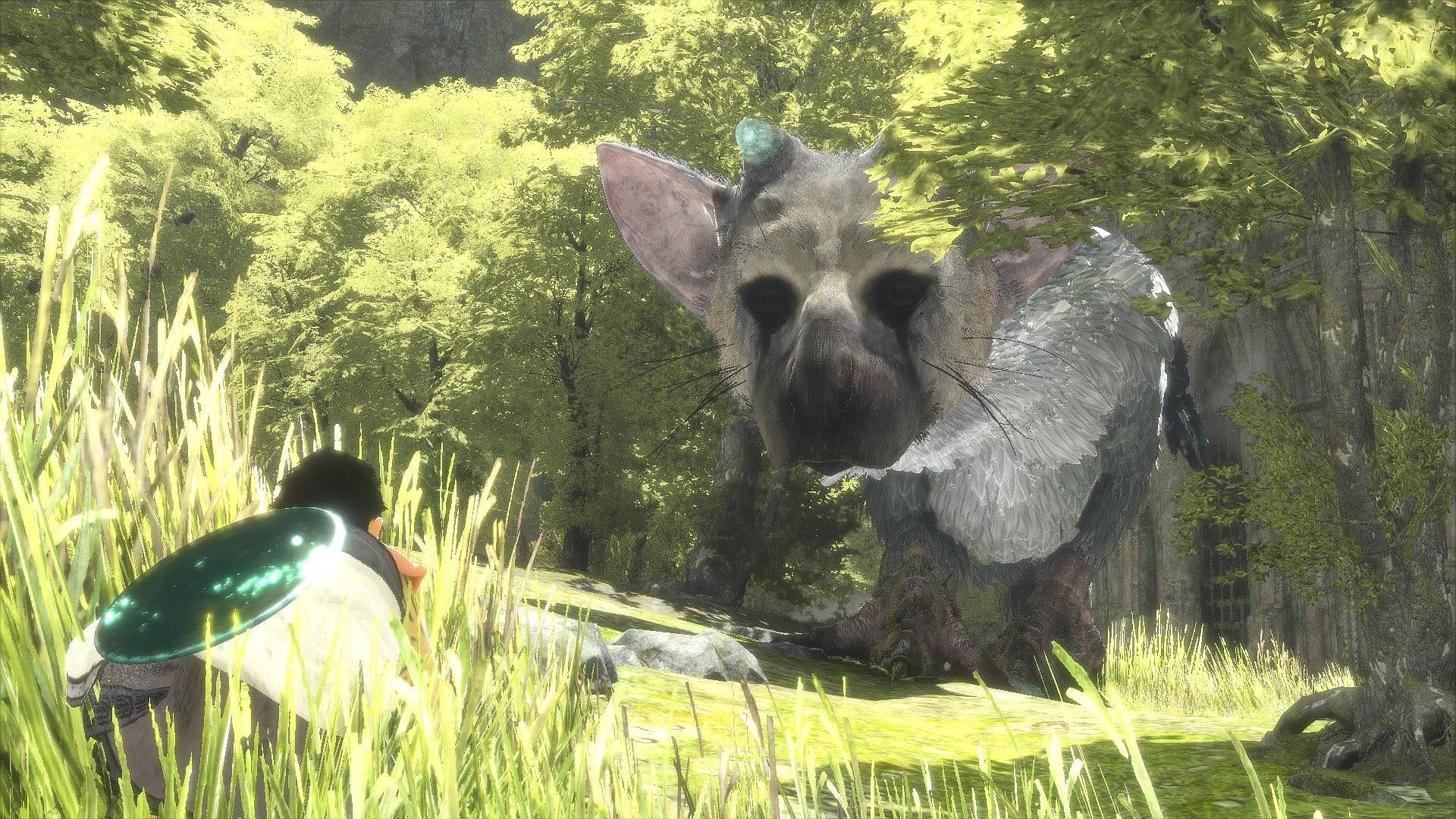 Trico Wallpapers