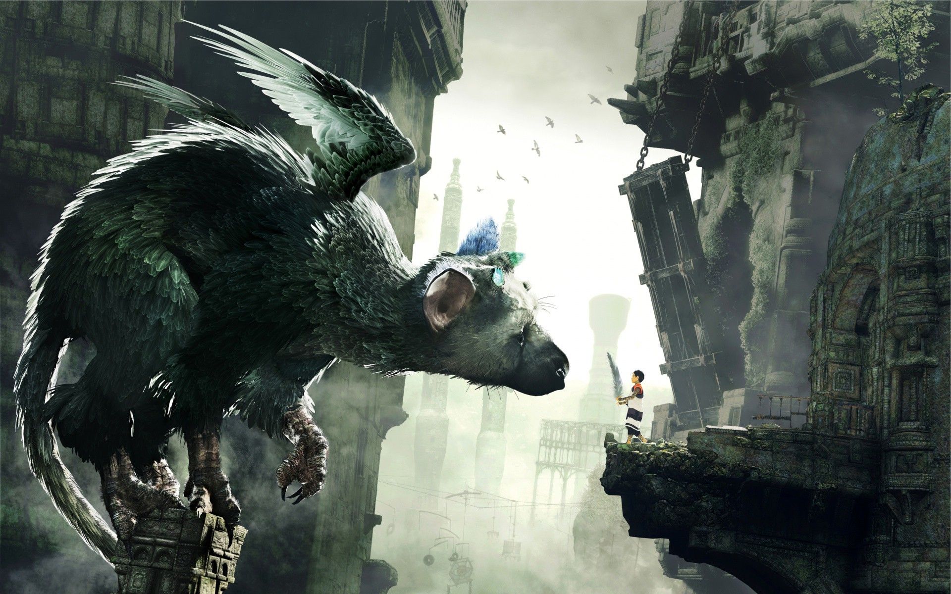 Trico Wallpapers