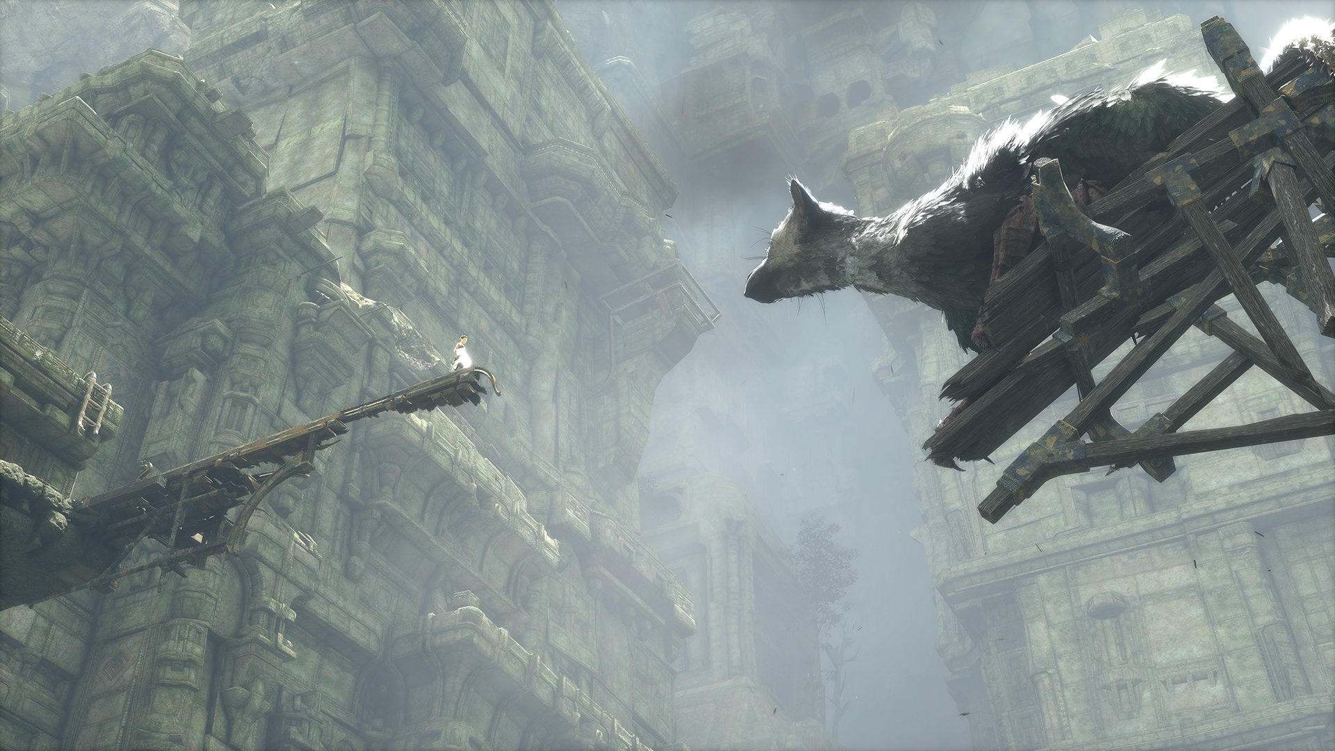 Trico Wallpapers