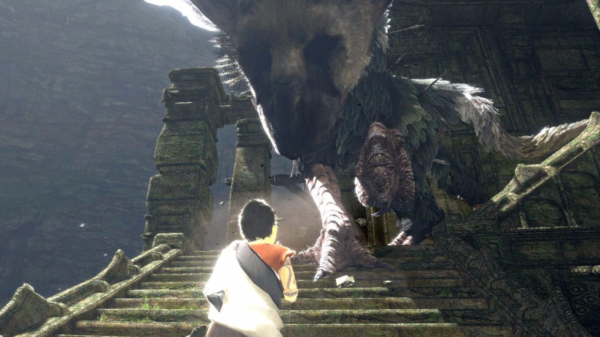 Trico Wallpapers