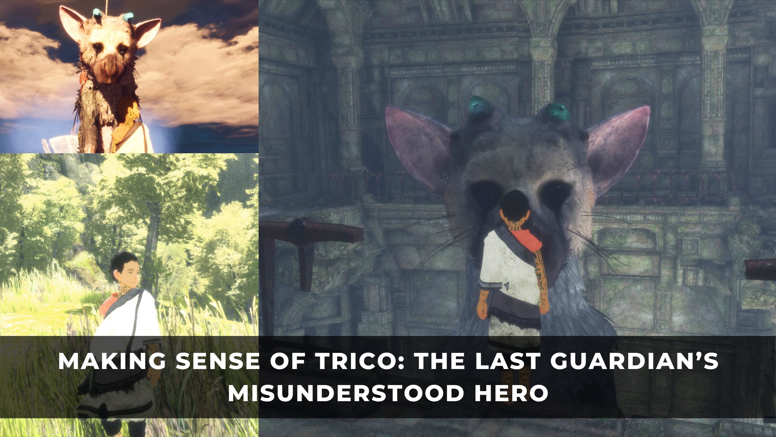 Trico Wallpapers