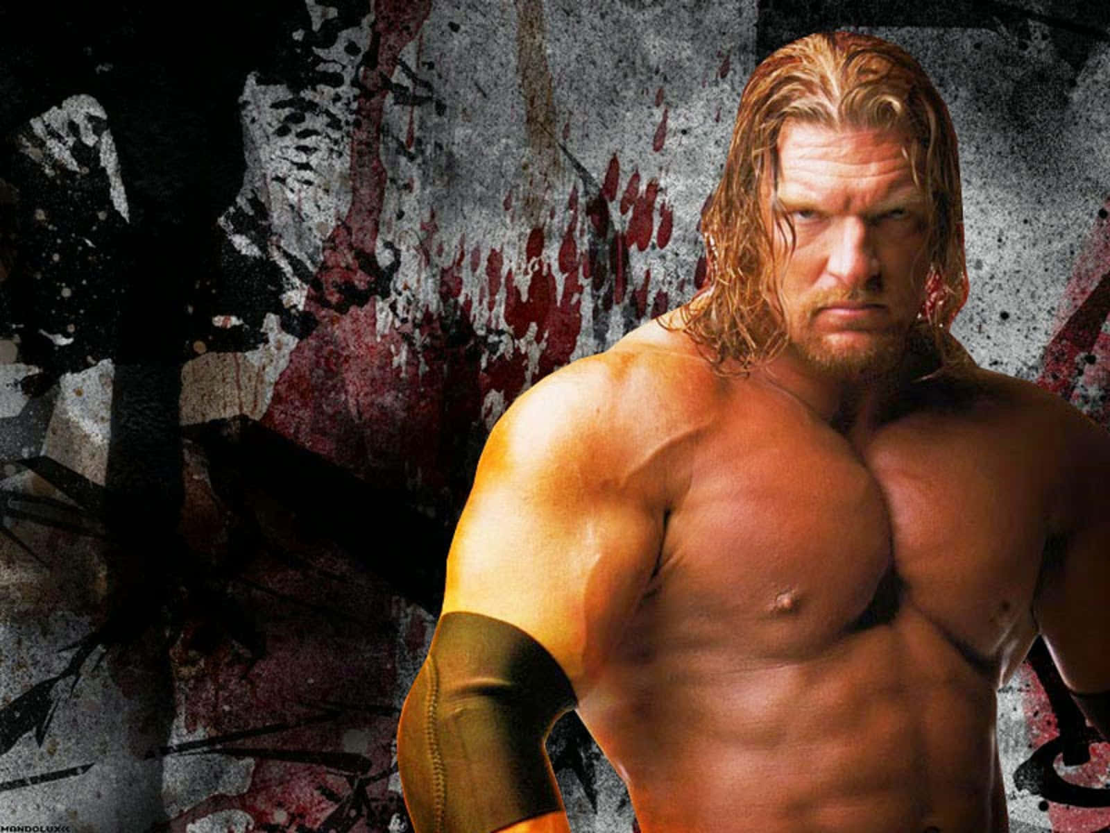 Triple H Wallpapers