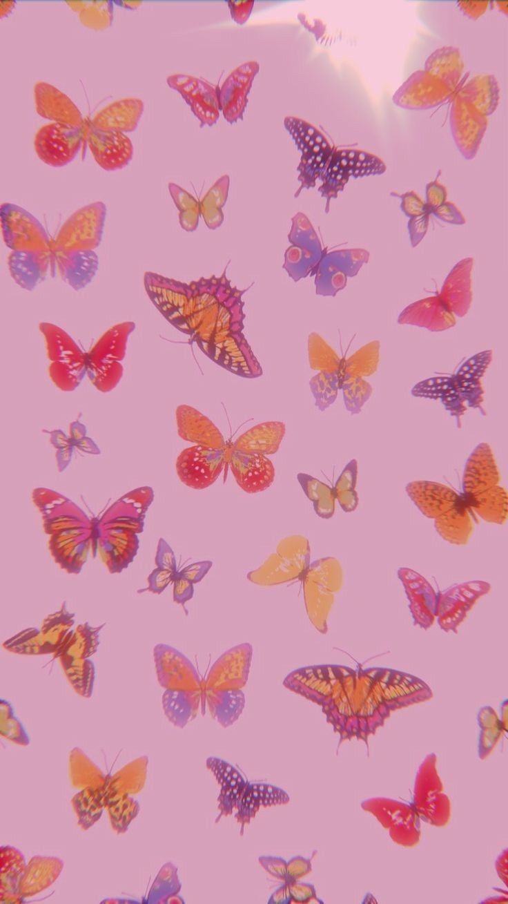 Trippy Butterfly Wallpapers