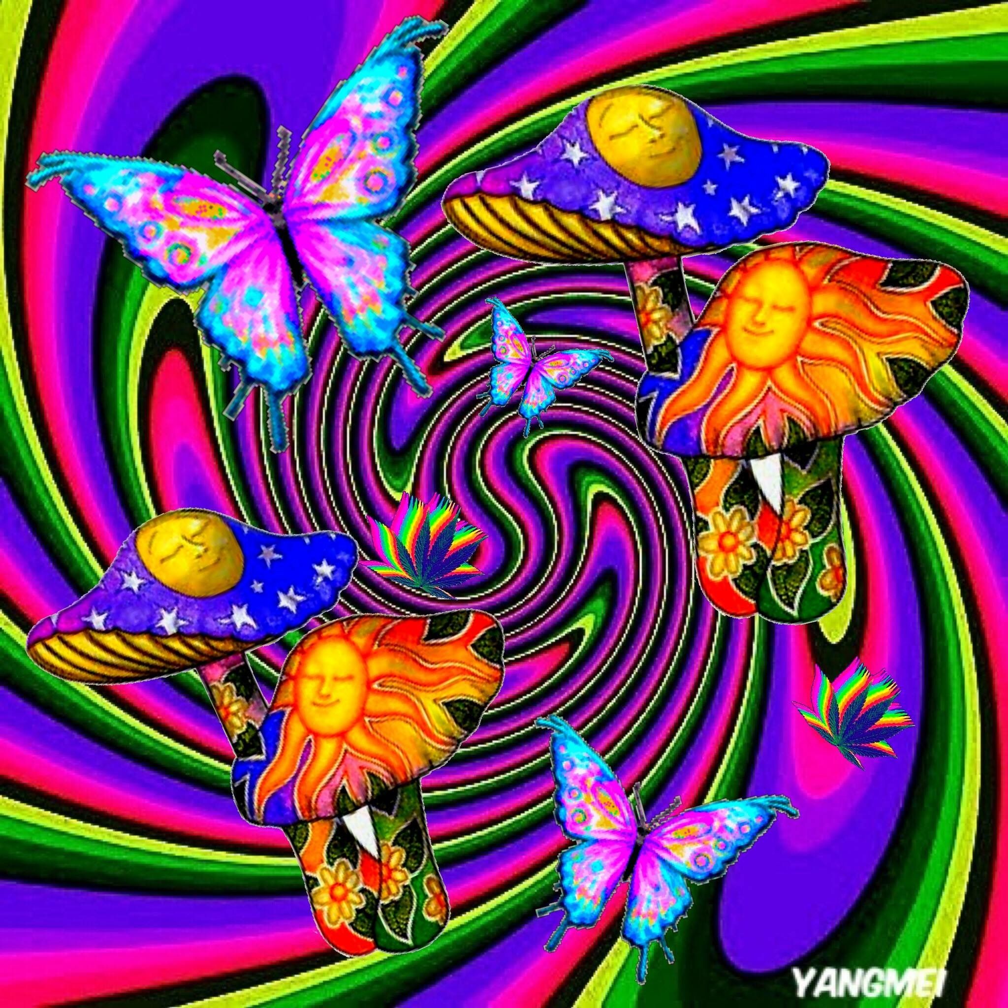 Trippy Butterfly Wallpapers