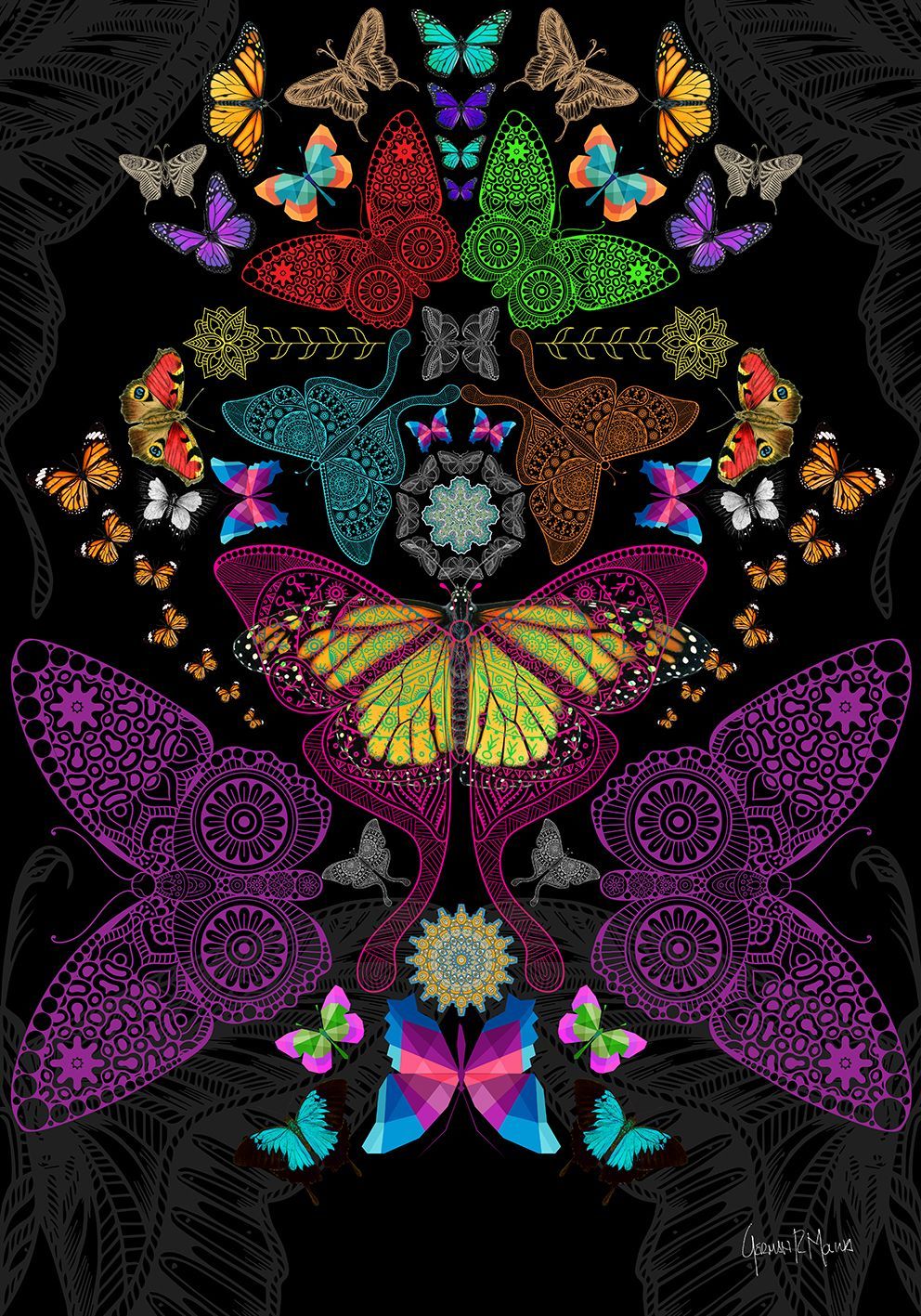 Trippy Butterfly Wallpapers