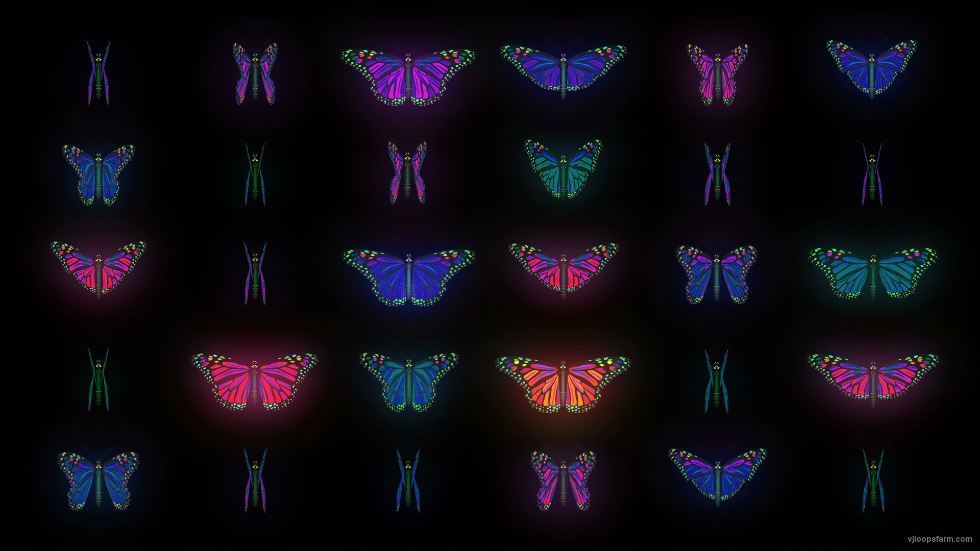 Trippy Butterfly Wallpapers