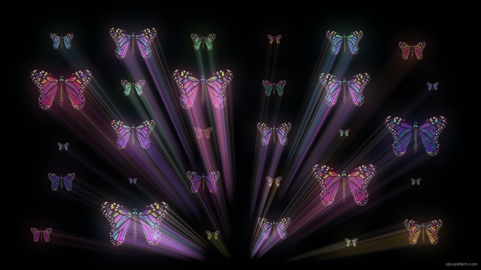 Trippy Butterfly Wallpapers