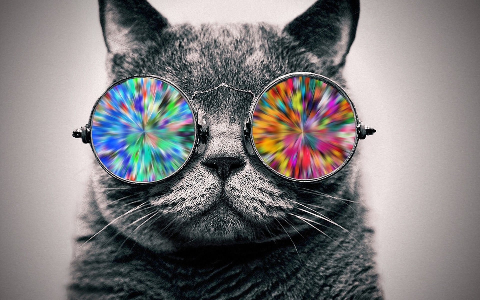 Trippy Cat Wallpapers