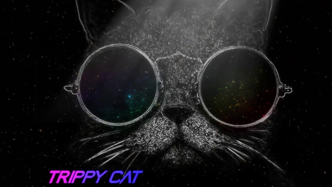 Trippy Cat Wallpapers