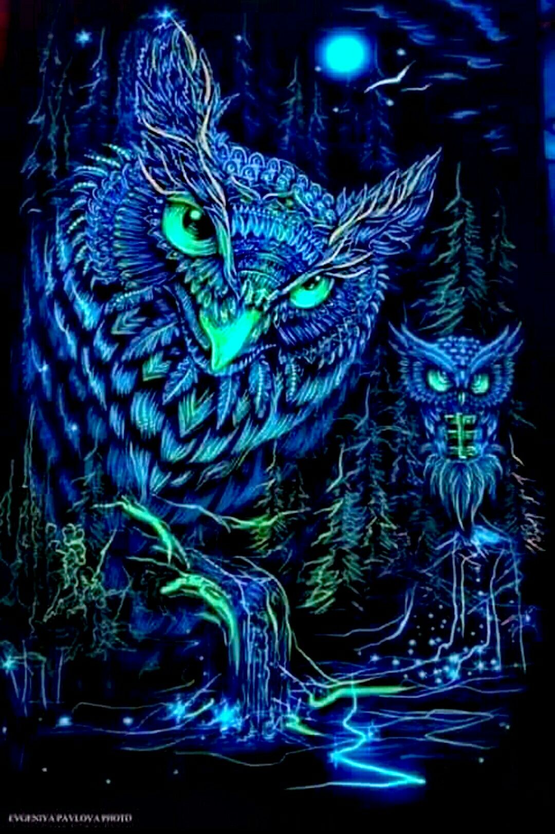 Trippy Owl Wallpapers