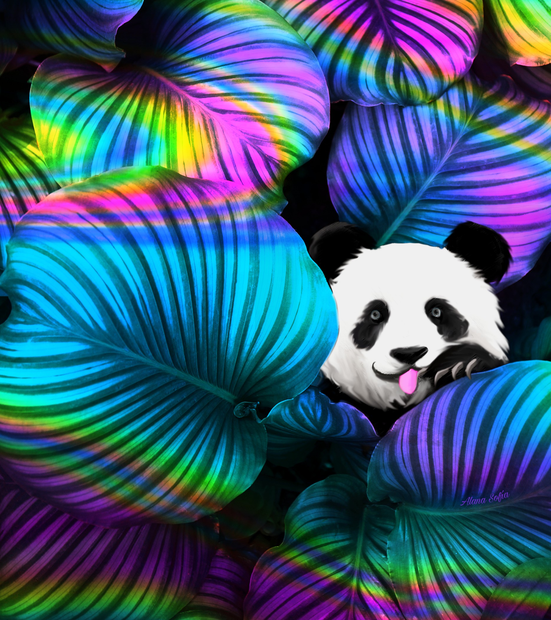 Trippy Panda Wallpapers