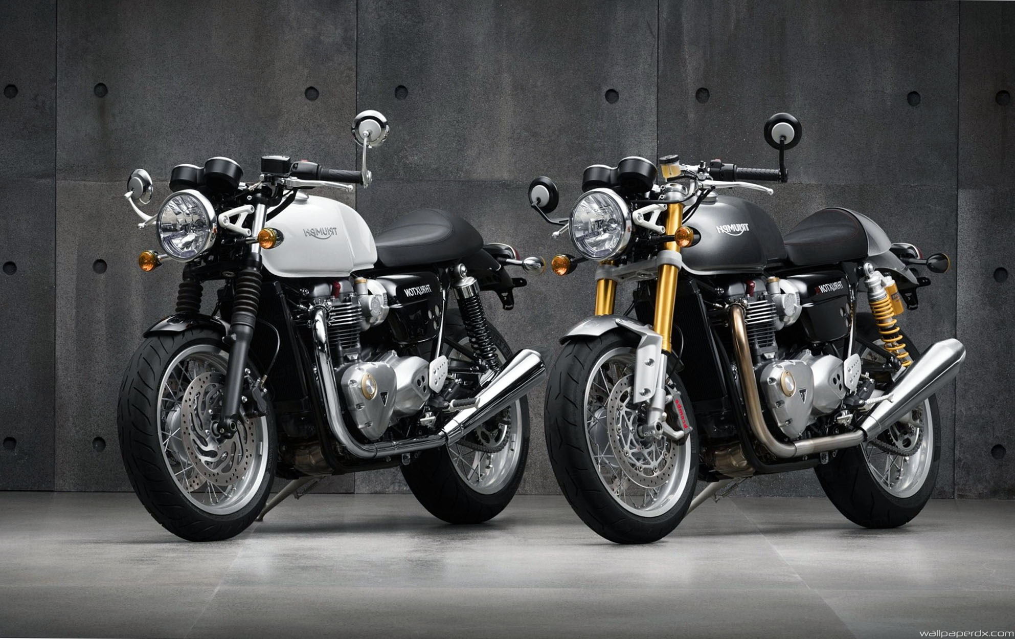 Triumph Thruxton Wallpapers