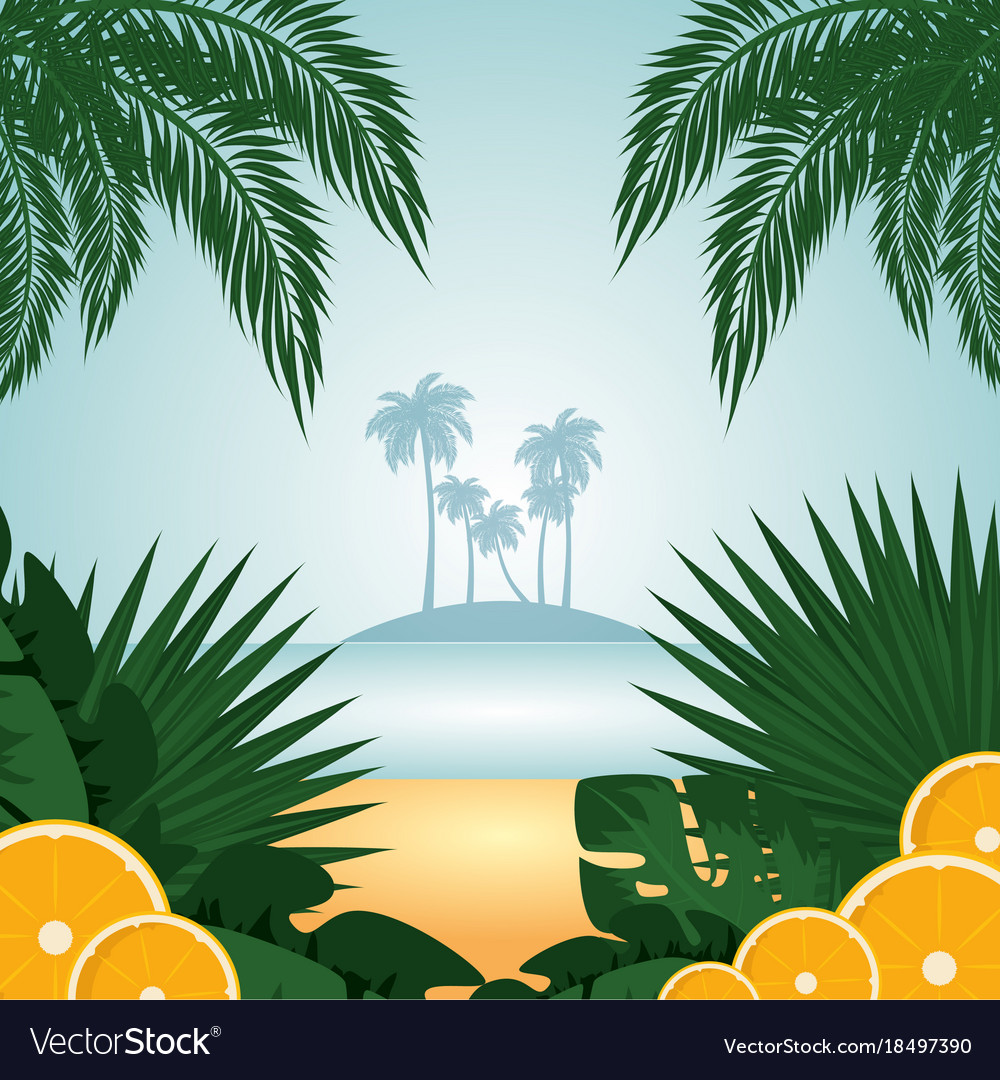 Tropical Background