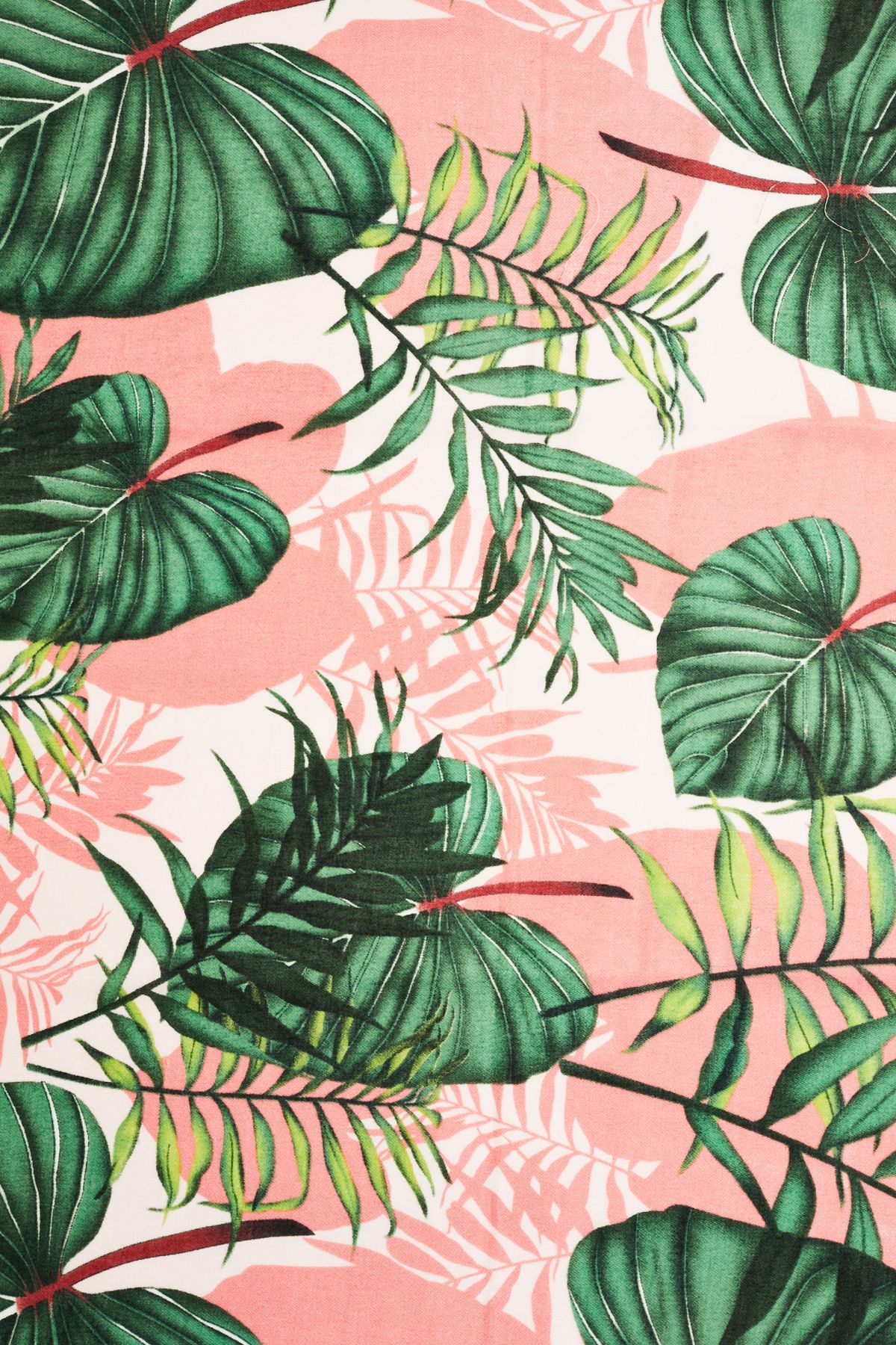 Tropical Background