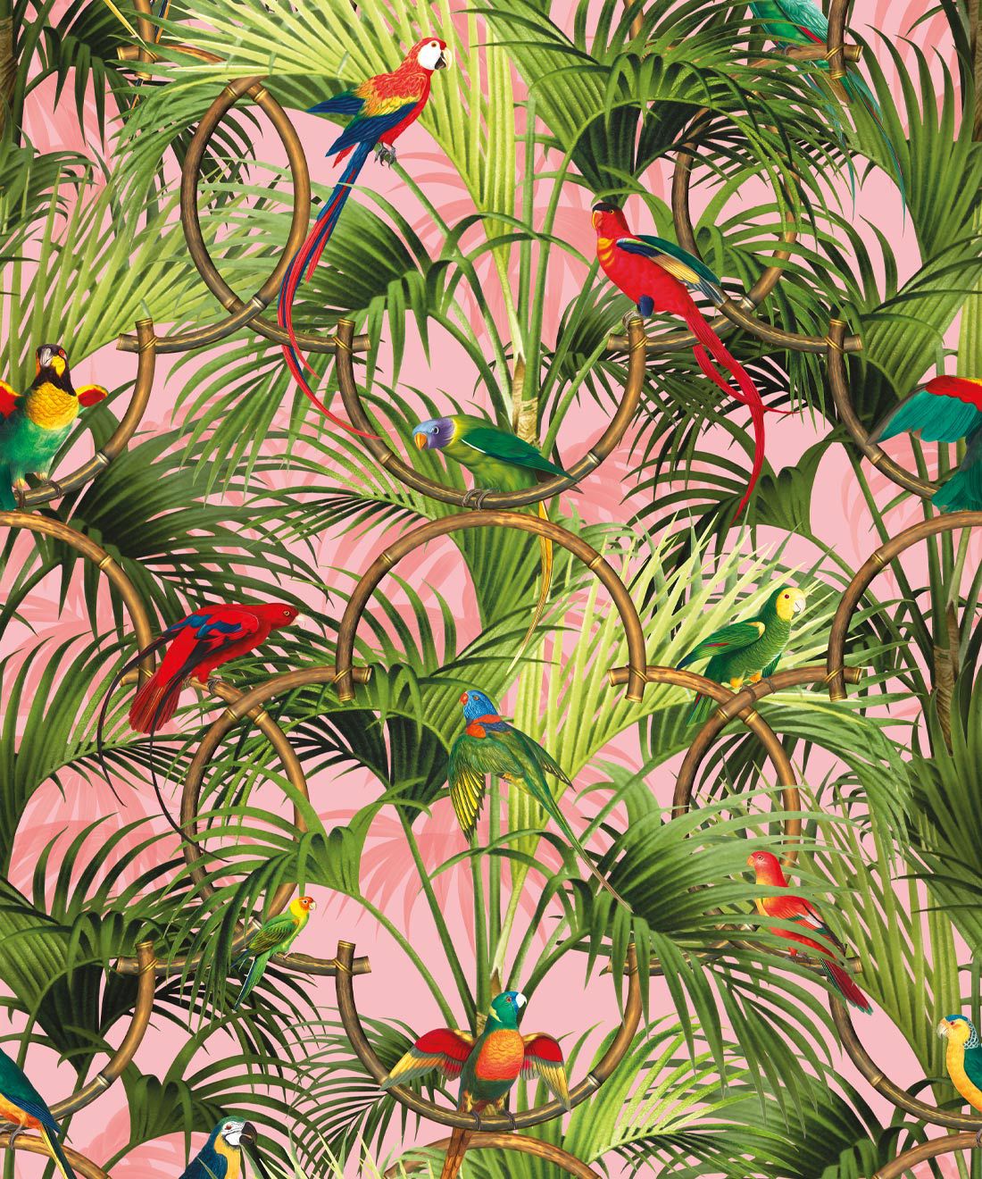 Tropical Background