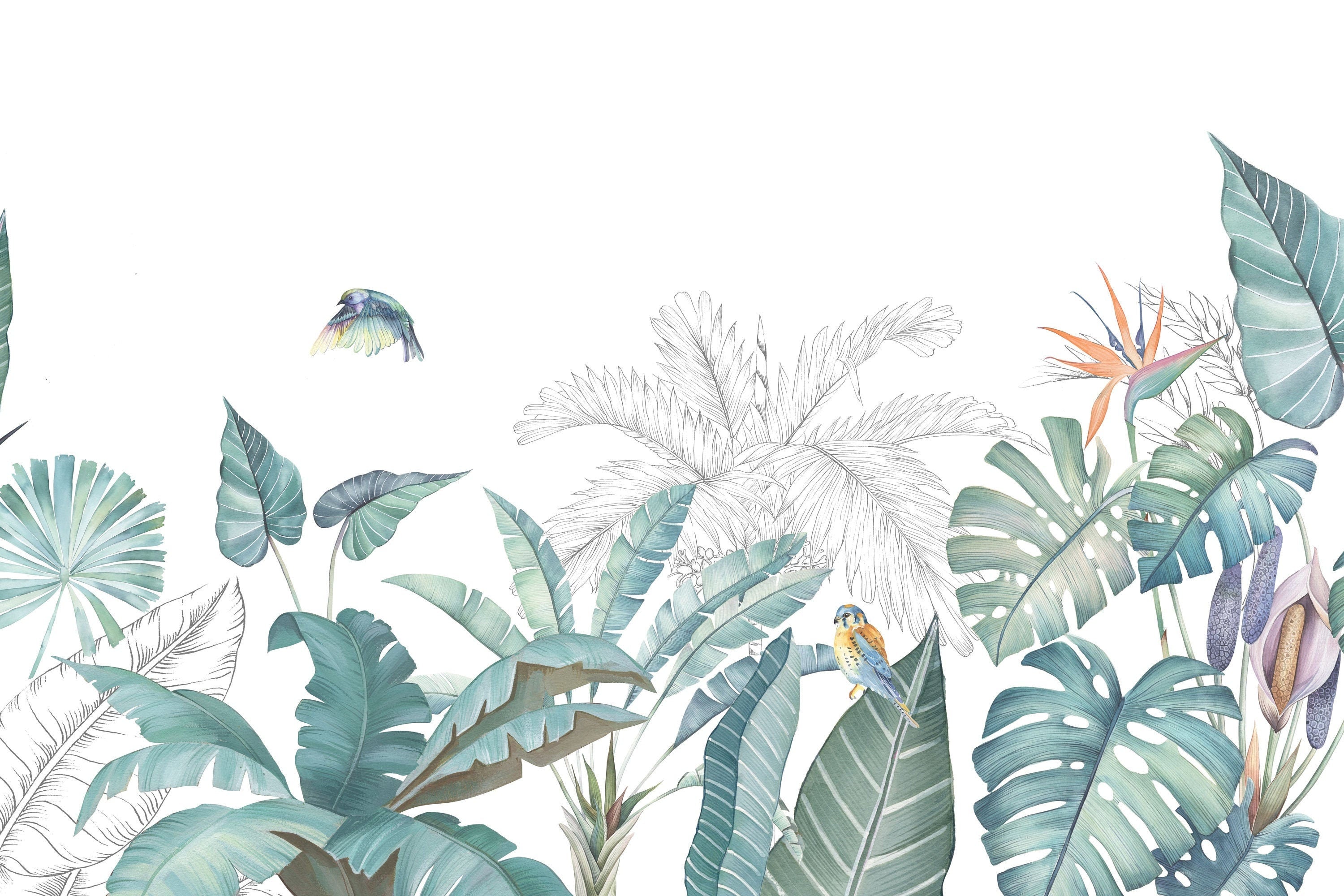 Tropical Background