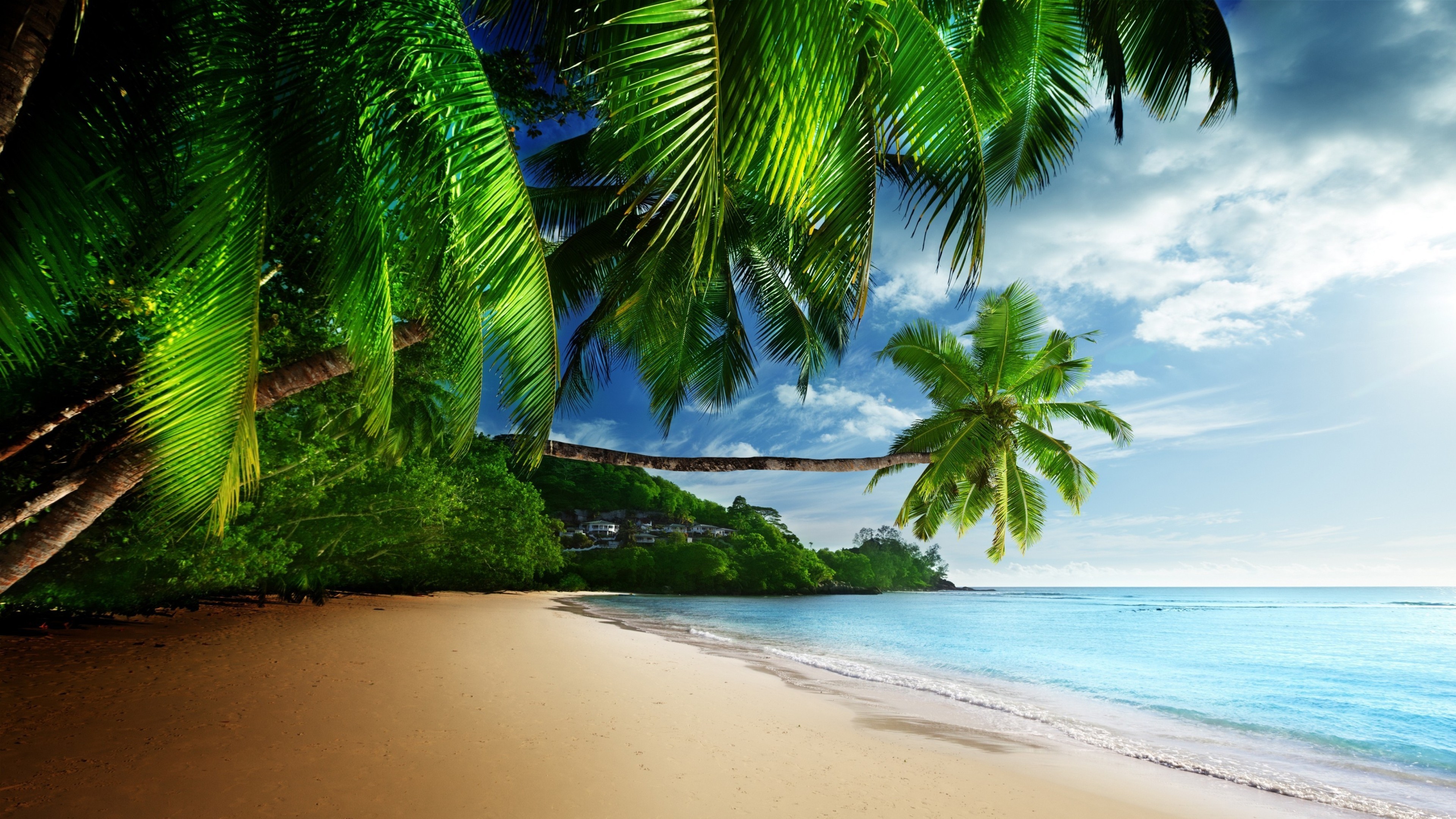 Tropical Background