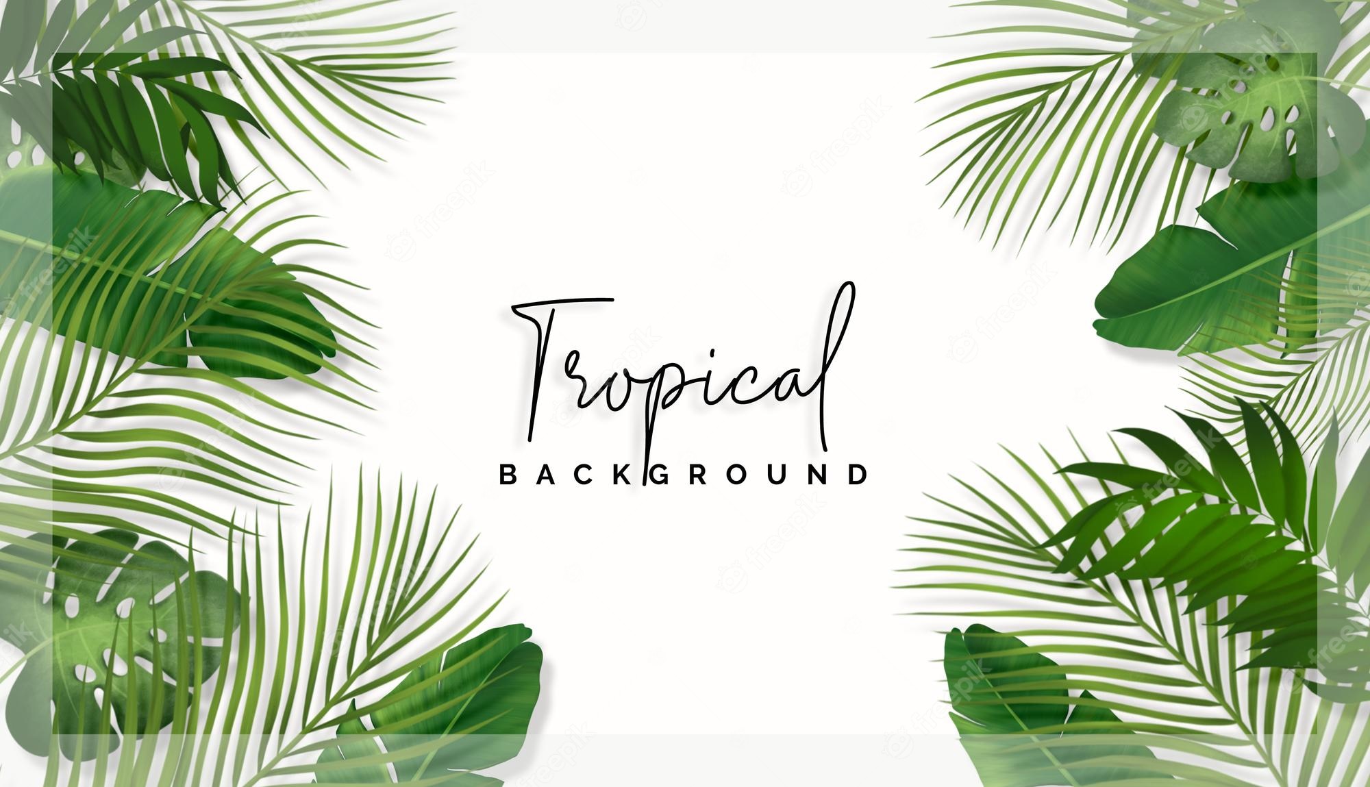 Tropical Background