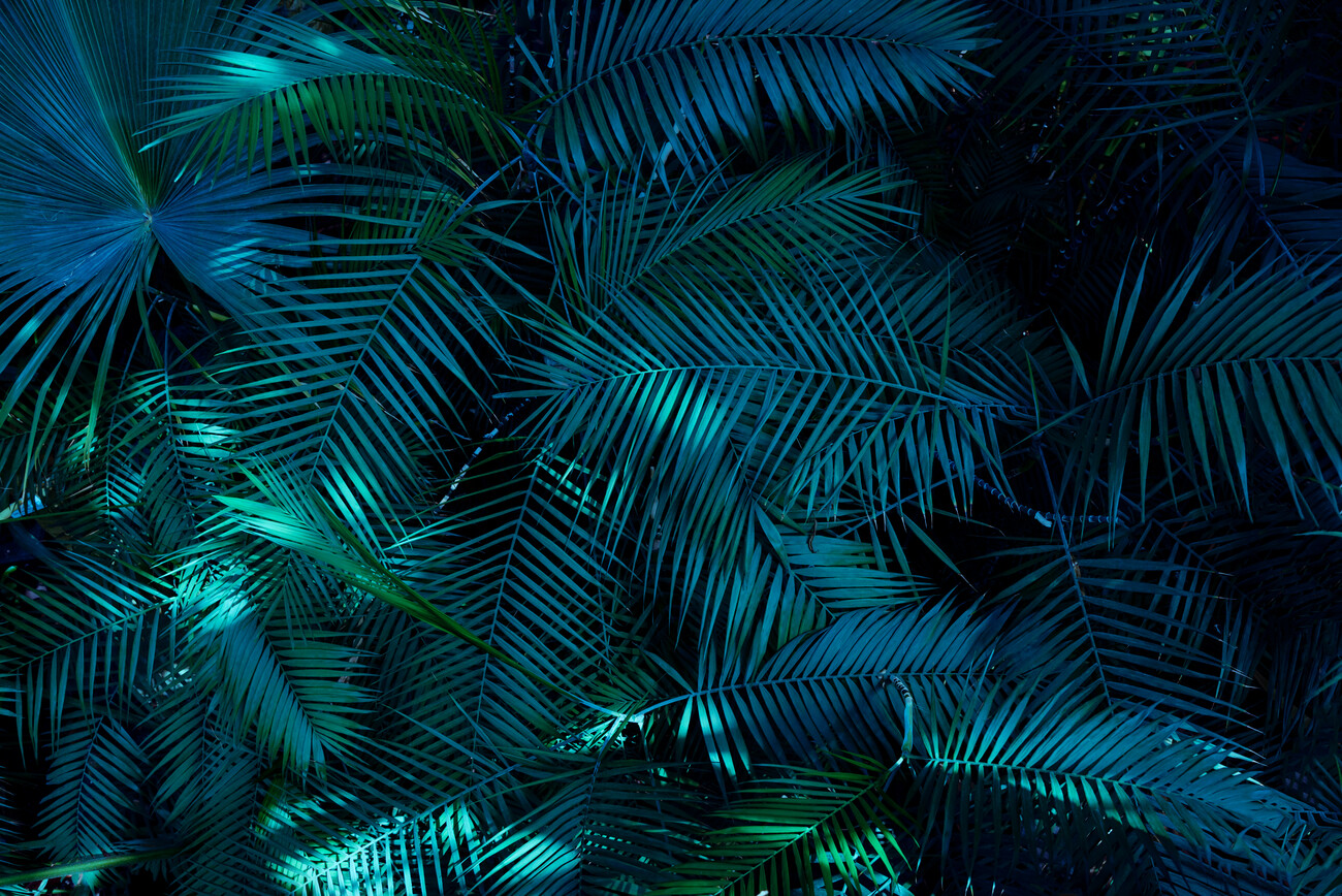 Tropical Background