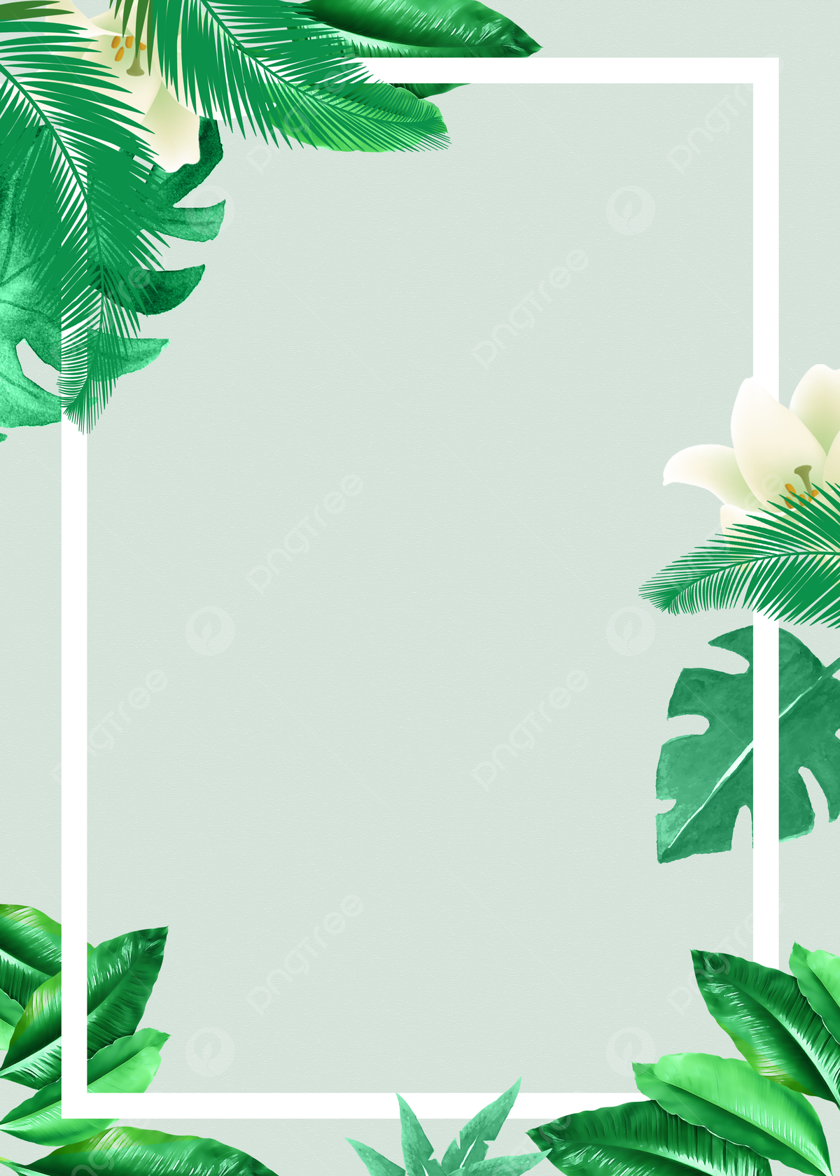 Tropical Background