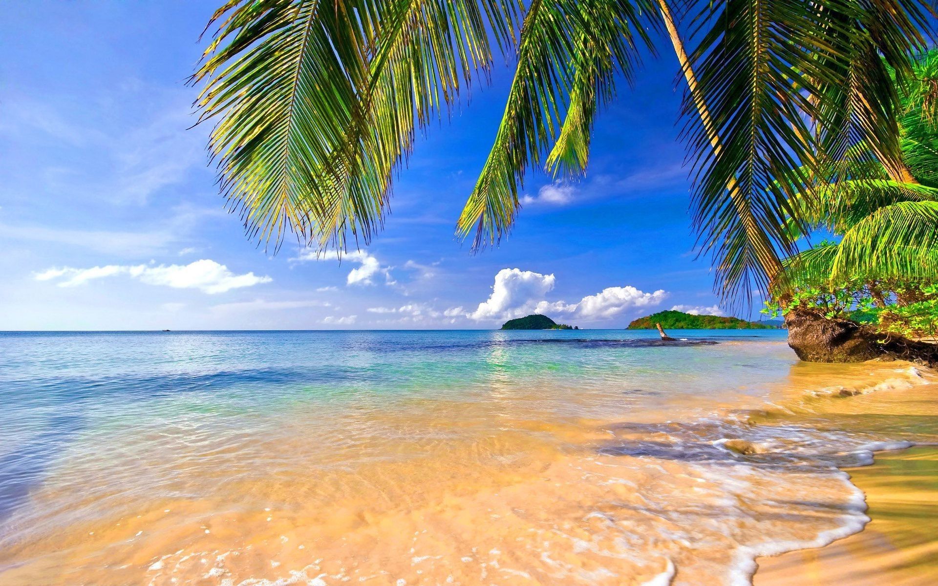 Tropical Beach Desktop Background