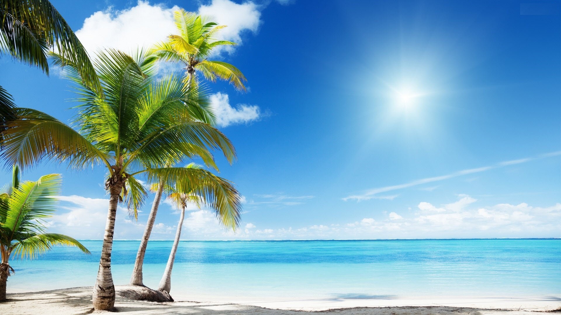 Tropical Beach Desktop Background