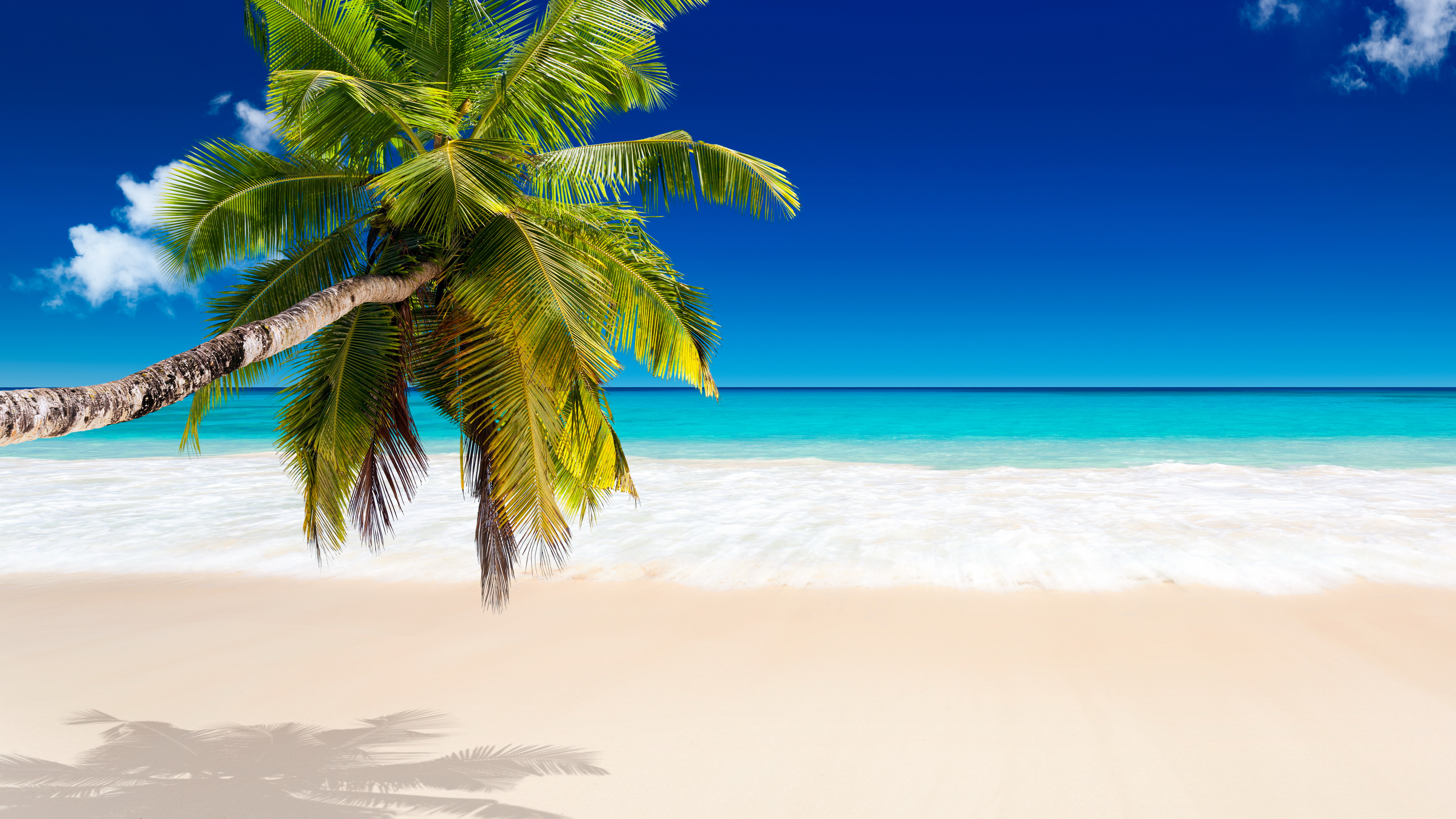 Tropical Beach Wallpapers